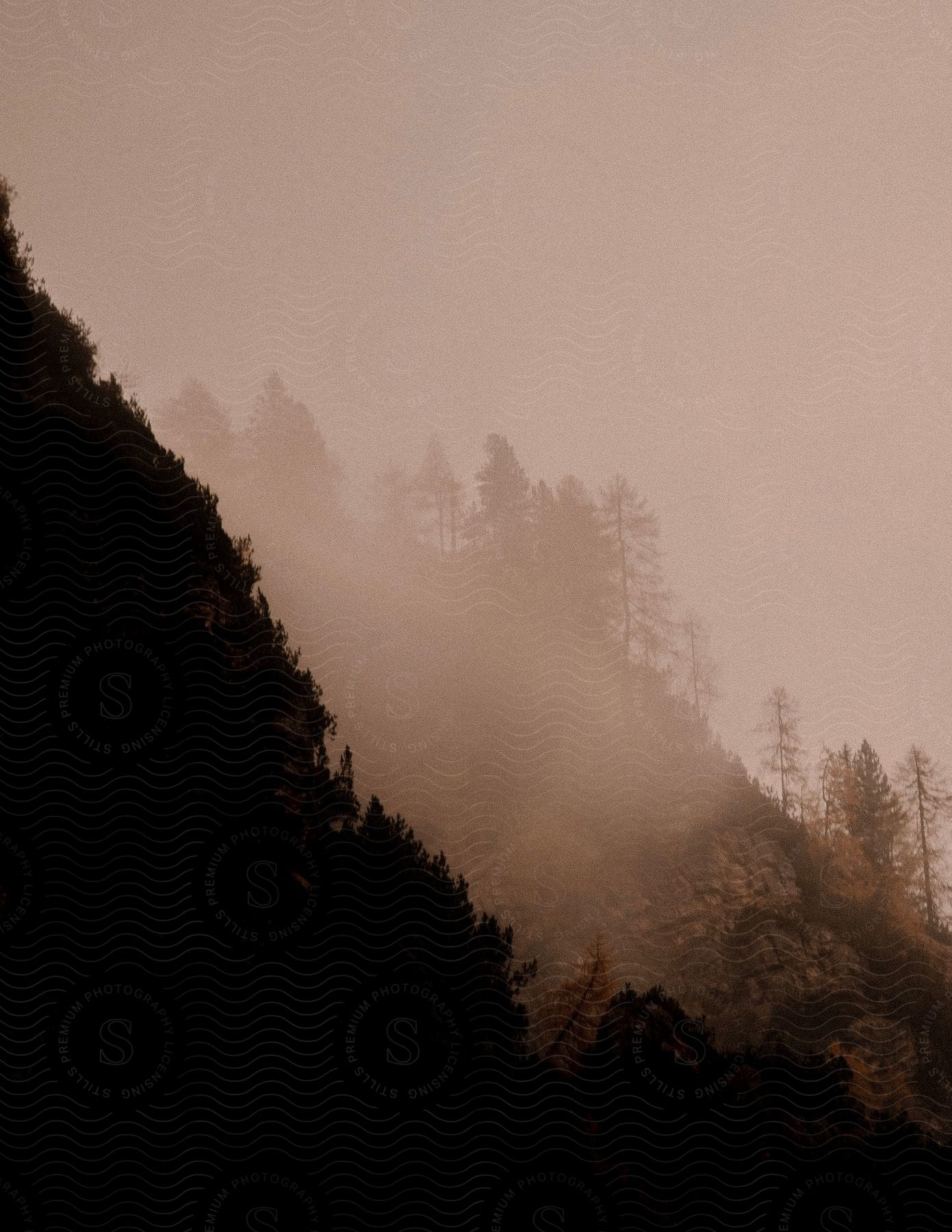 Fog obscures one of two forested mountains.