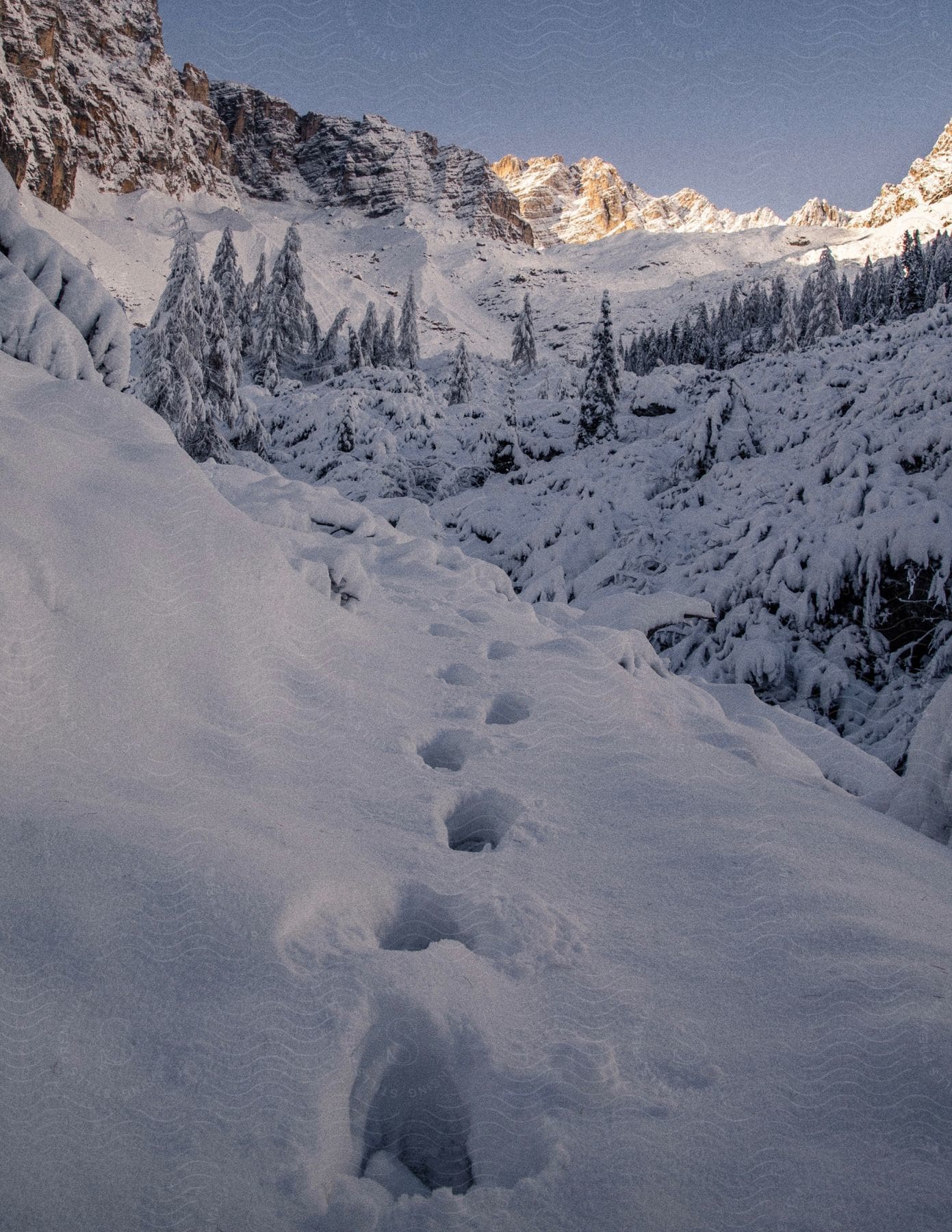 Footprints across the ledge of a snow covered mountain with forested mountains in the distance