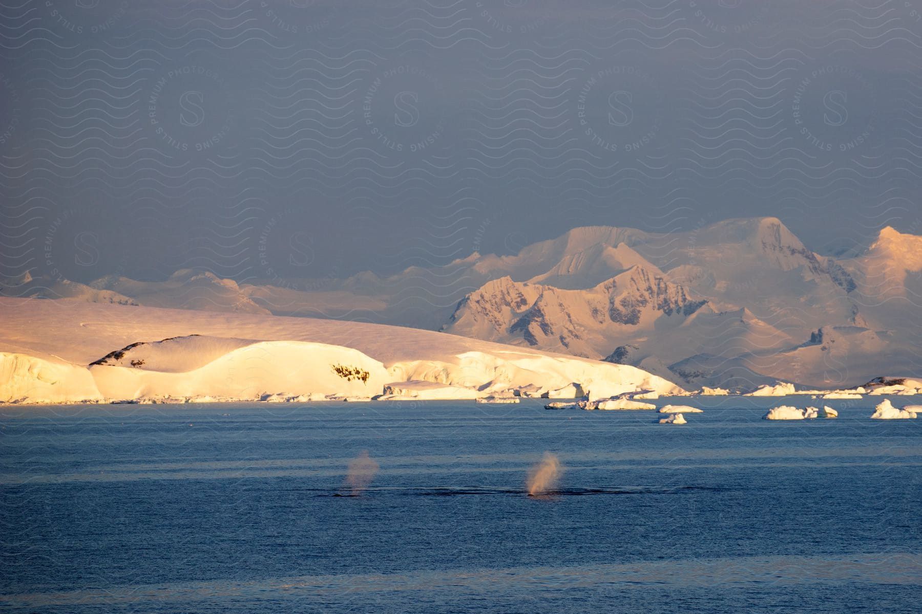 Ice floats in the water off the snow covered arctic coast