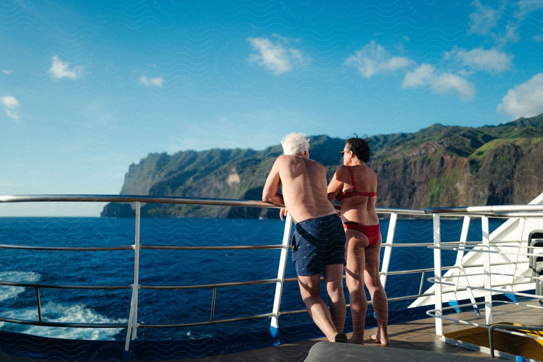 A man and woman are leaning on the railing as they overlook the water and mountains along the coast