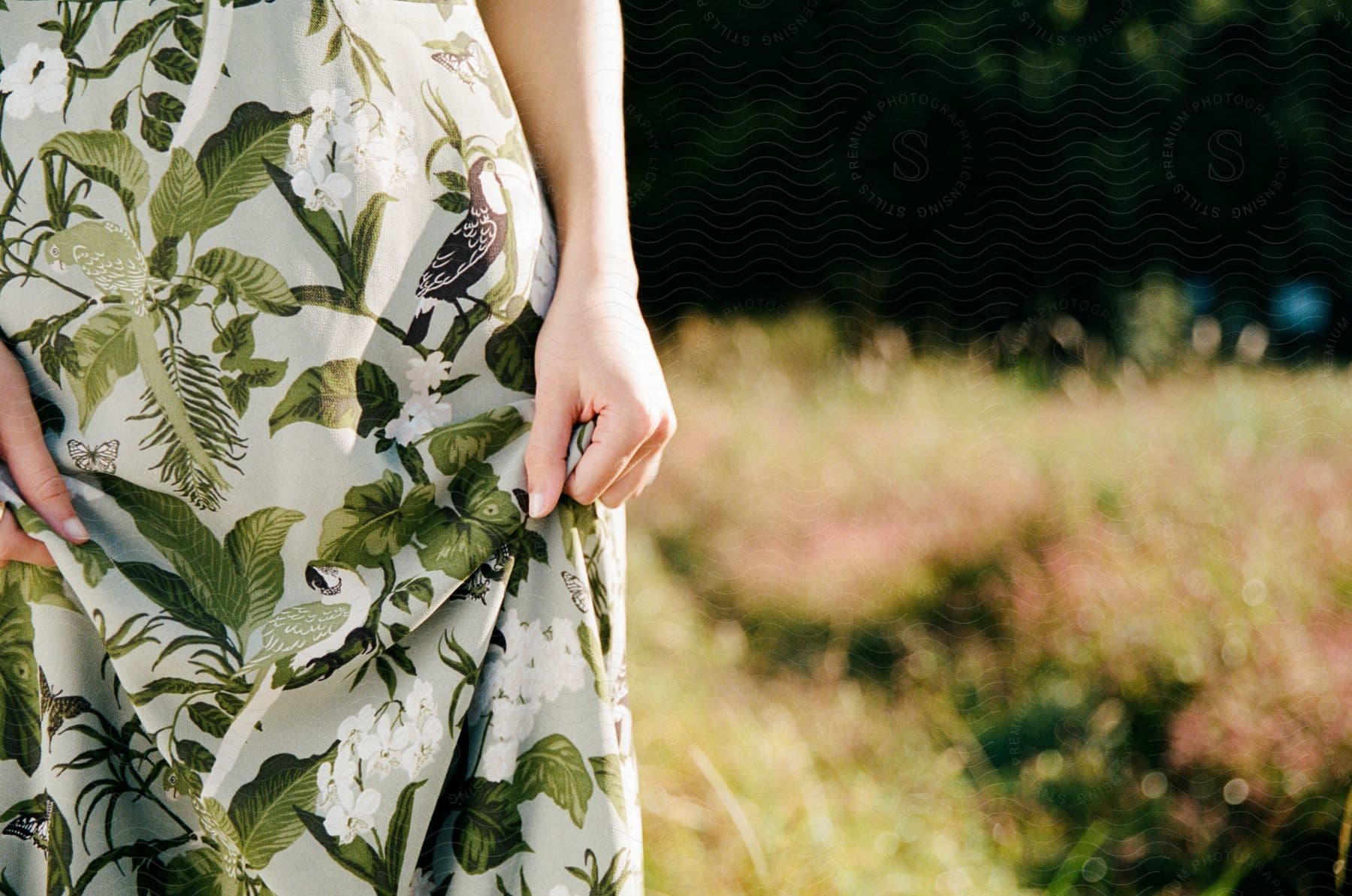 Stock photo of a female wearing a dress standing on a grassland