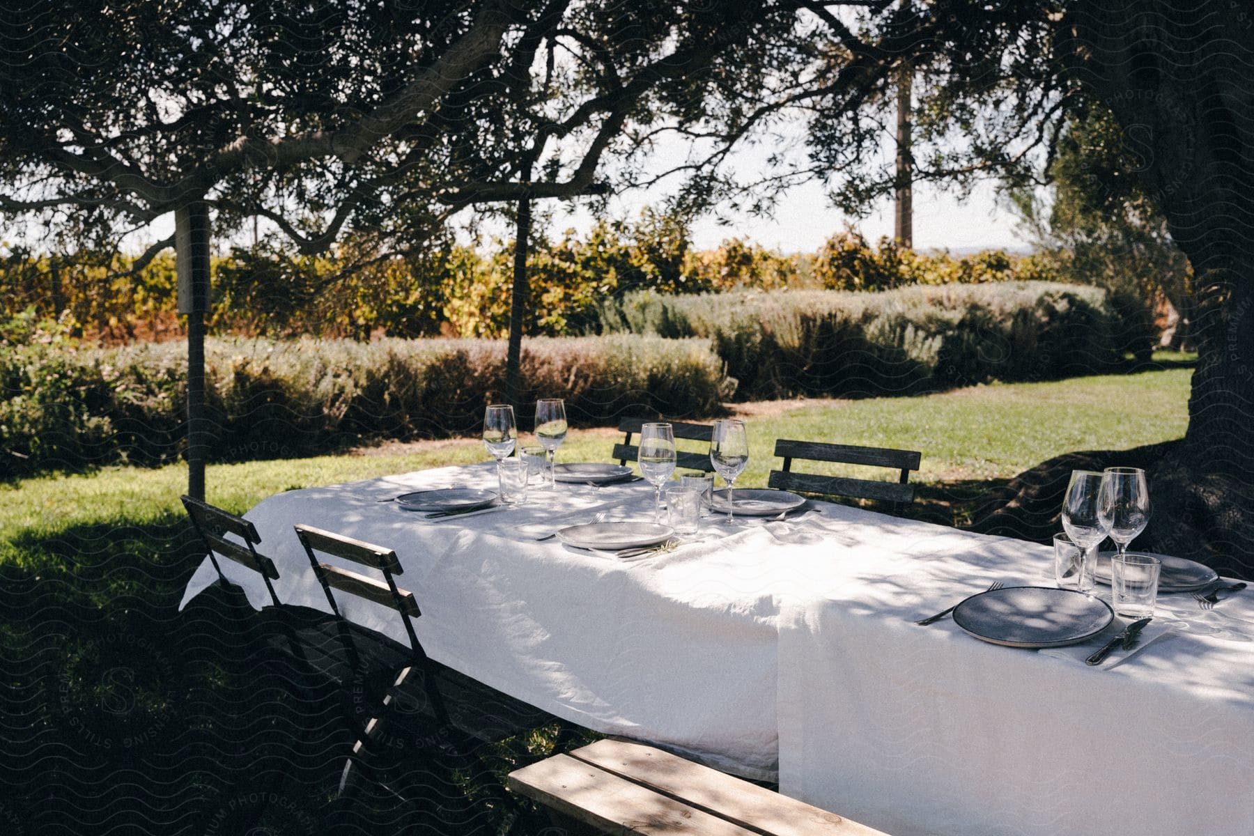 A dining table with tableware and water glasses is set outdoors under a shade tree.