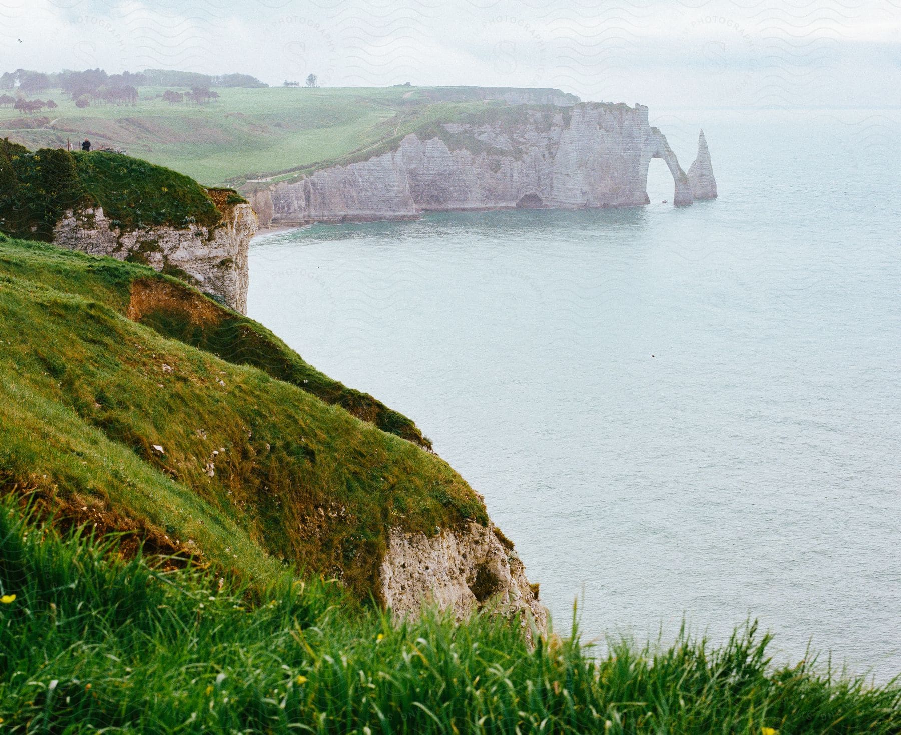 coastal cliffs and vegetation on a hazy day