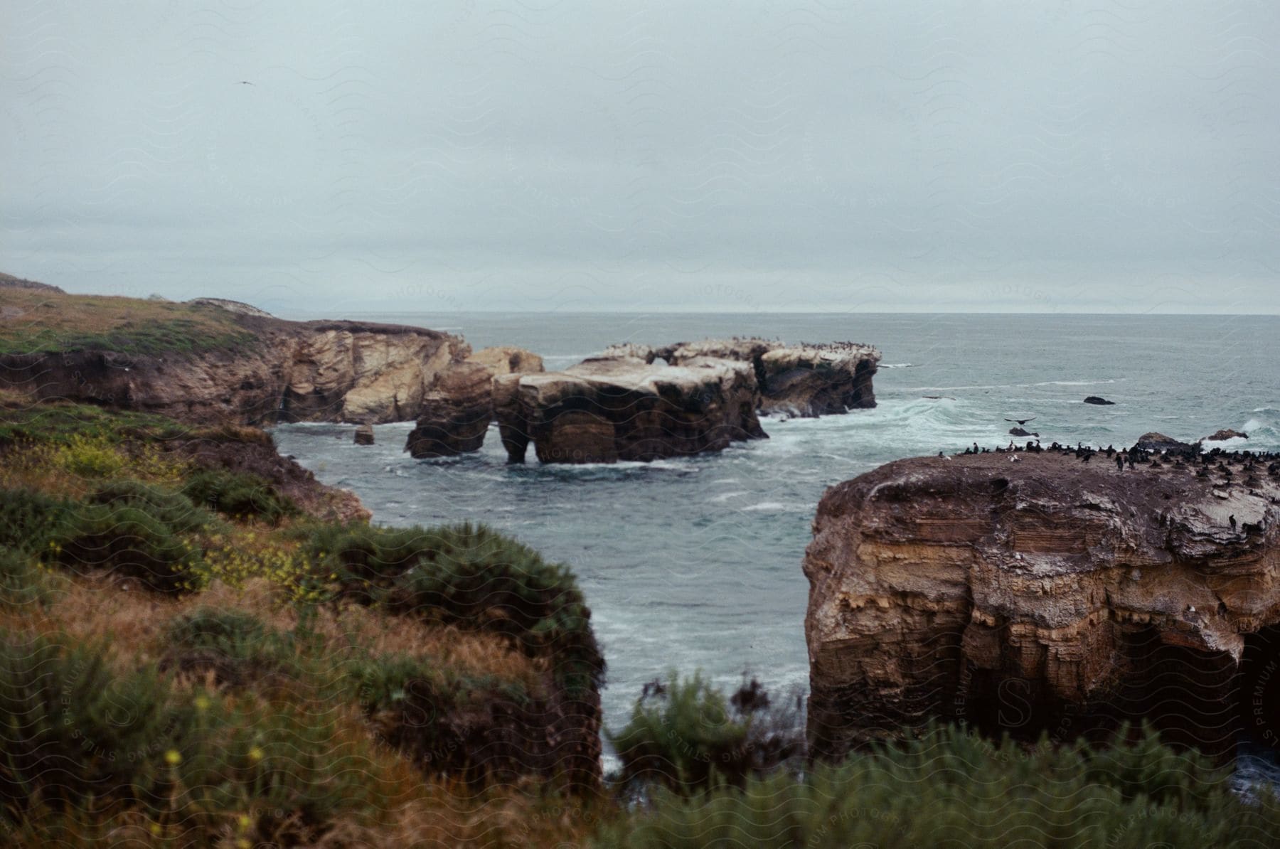 Birds perch on rocky island just off grass topped coastal cliffs on a cloudy day.