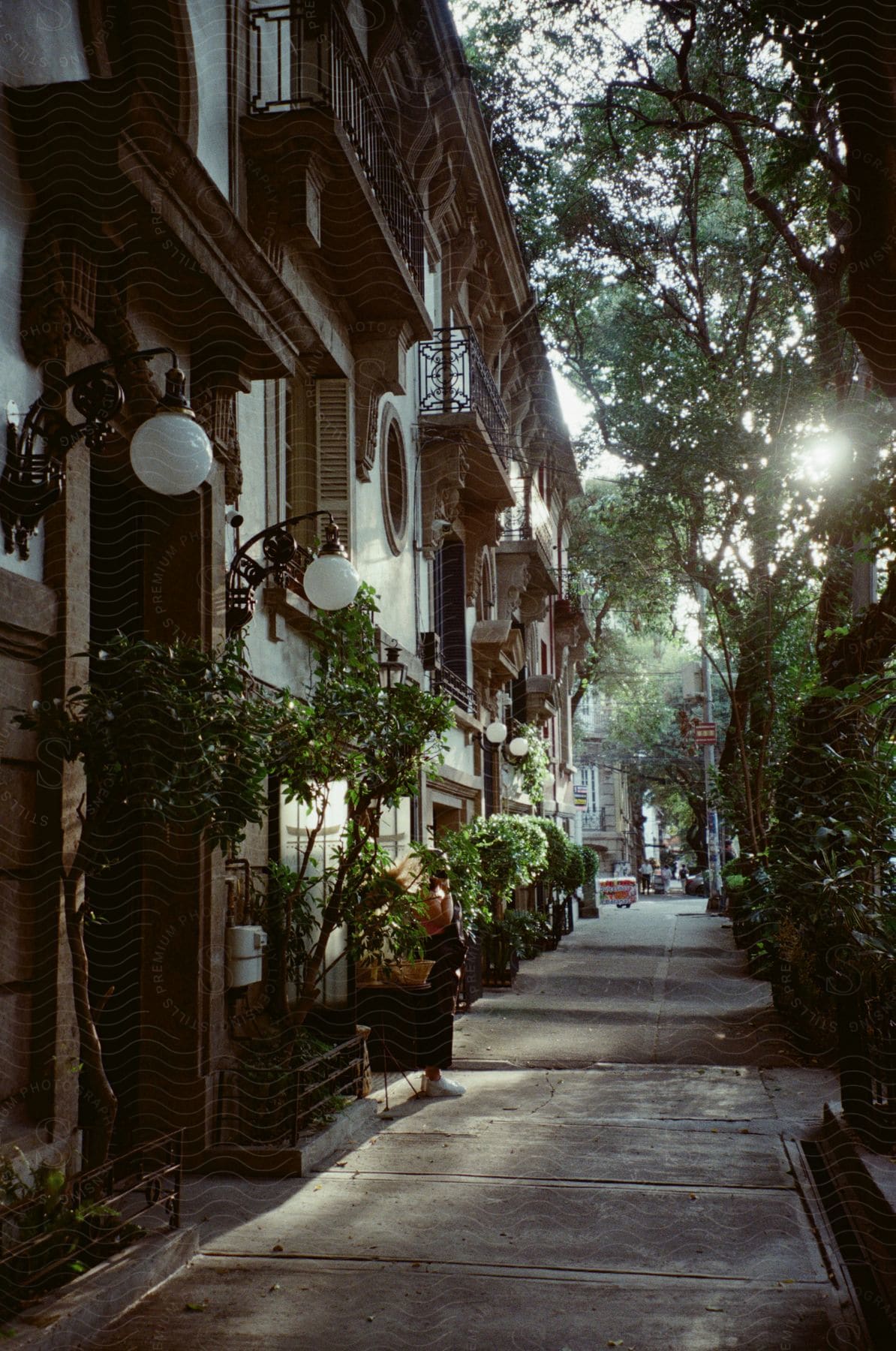 Sunlight shines on a brown and white apartment building on a summer day.