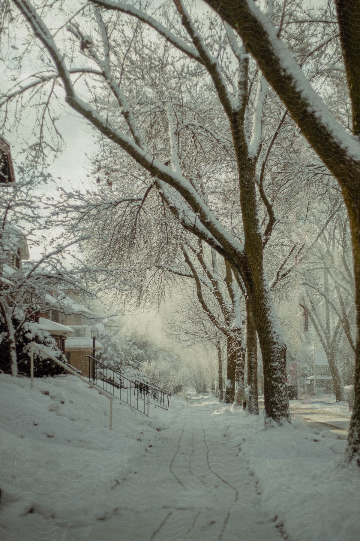 Wheel tracks wind along sidewalk in snow covered neighborhood during winter.