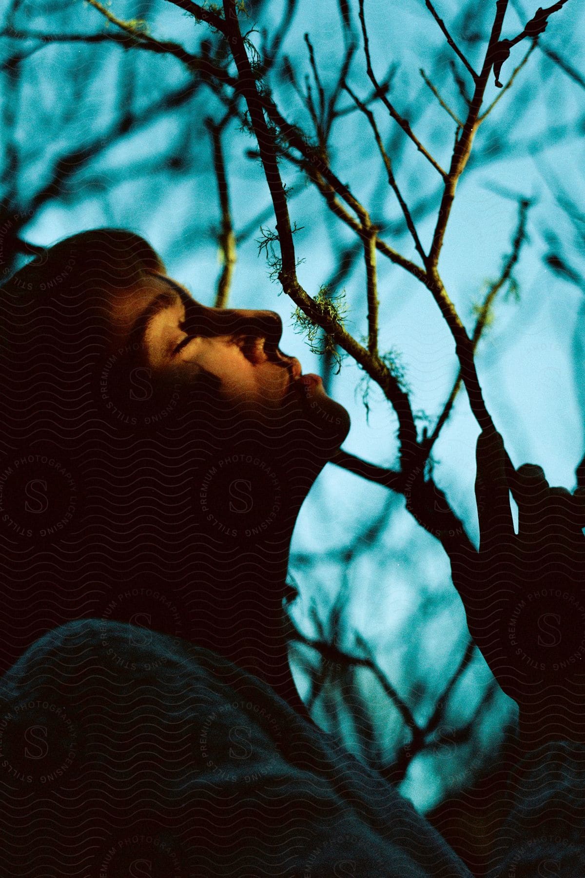 Partially Silhouetted Woman Holds Onto Branch Of Leafless Tree