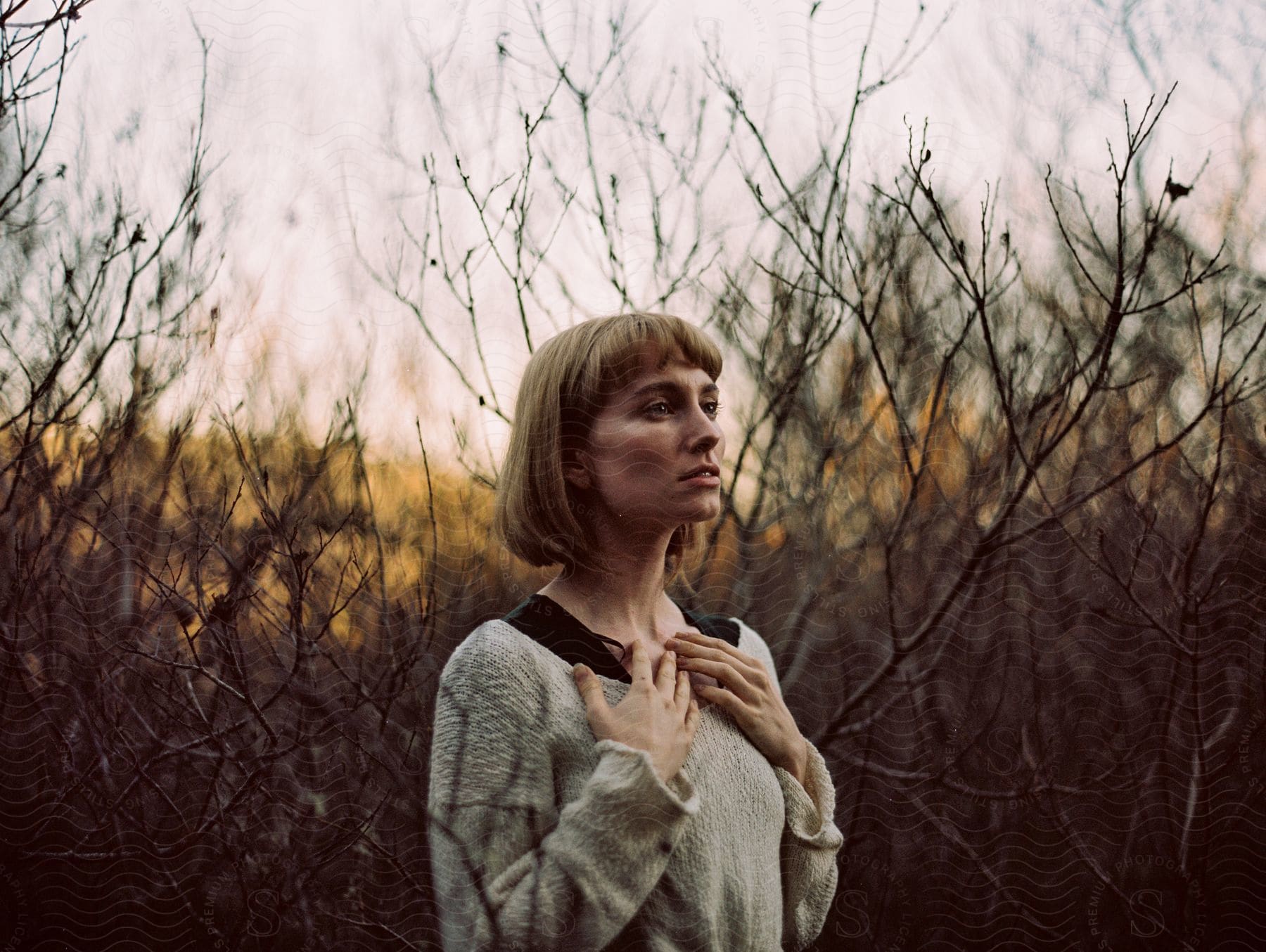 young adult woman standing with her hands to her chest next to dried up trees during day time