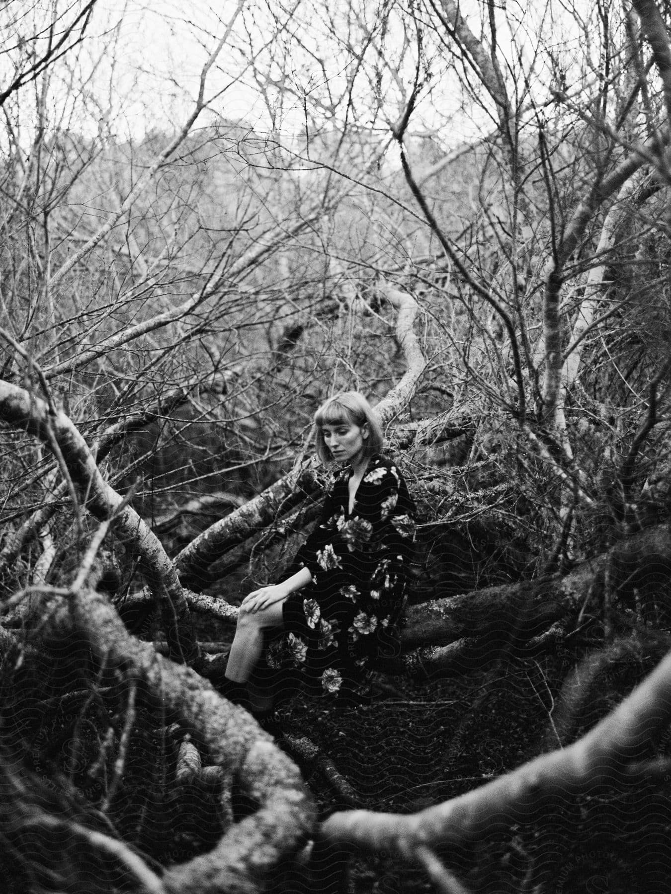 A woman in a floral dress is sitting contemplatively among gnarled tree branches.
