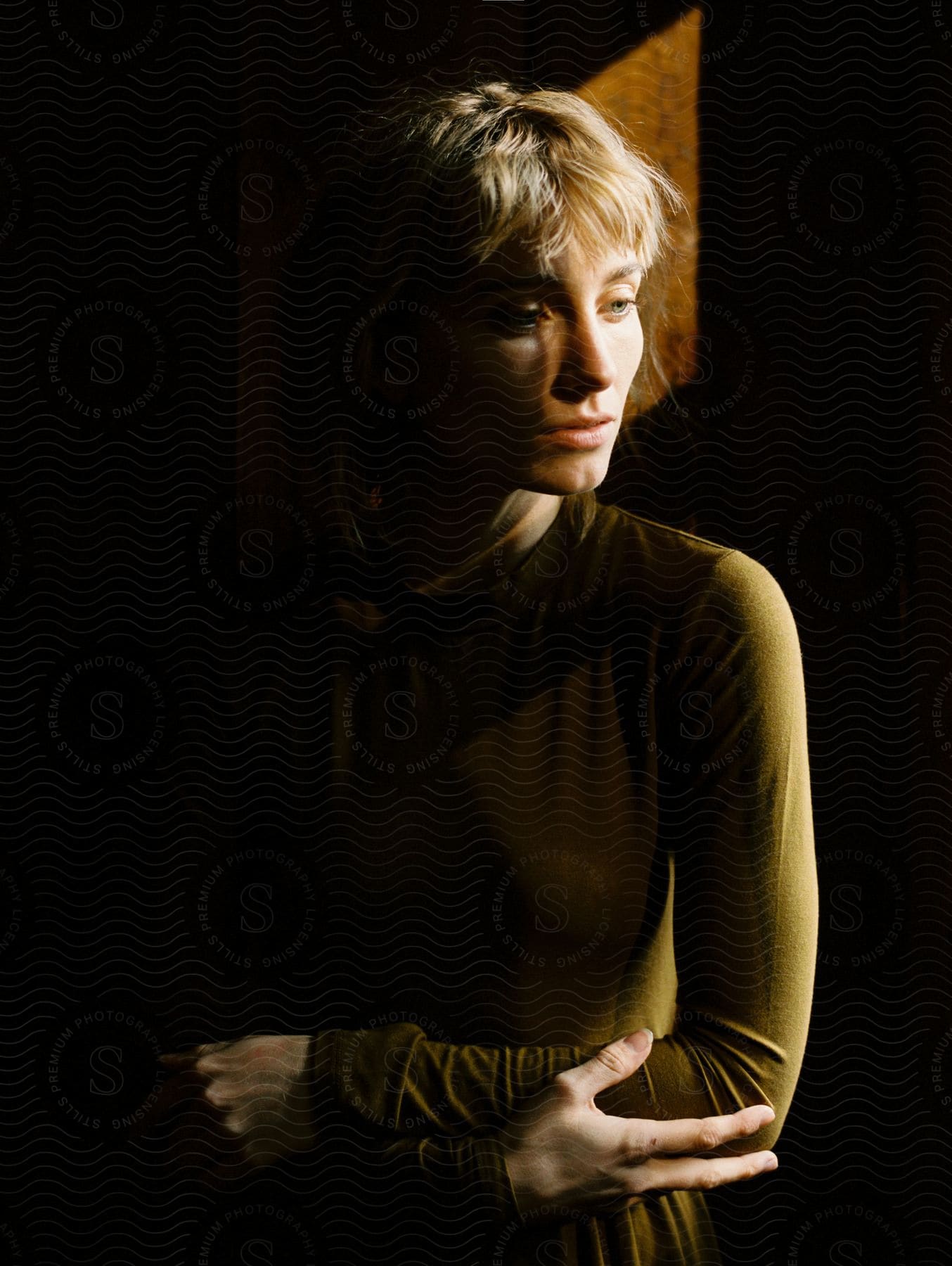 A portrait of a blonde lady with light shining on half of her face
