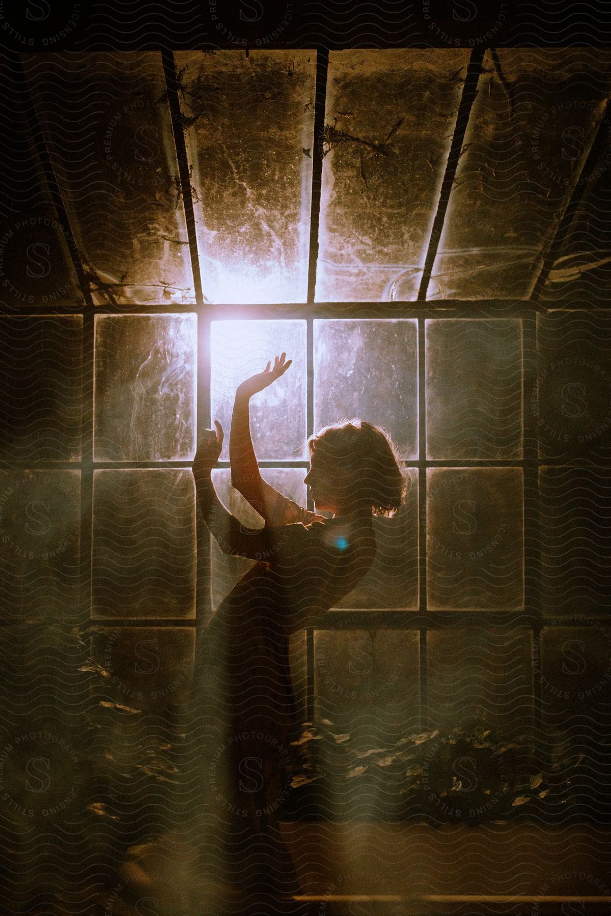 Female dancer poses in greenhouse lit by external spotlight at night.