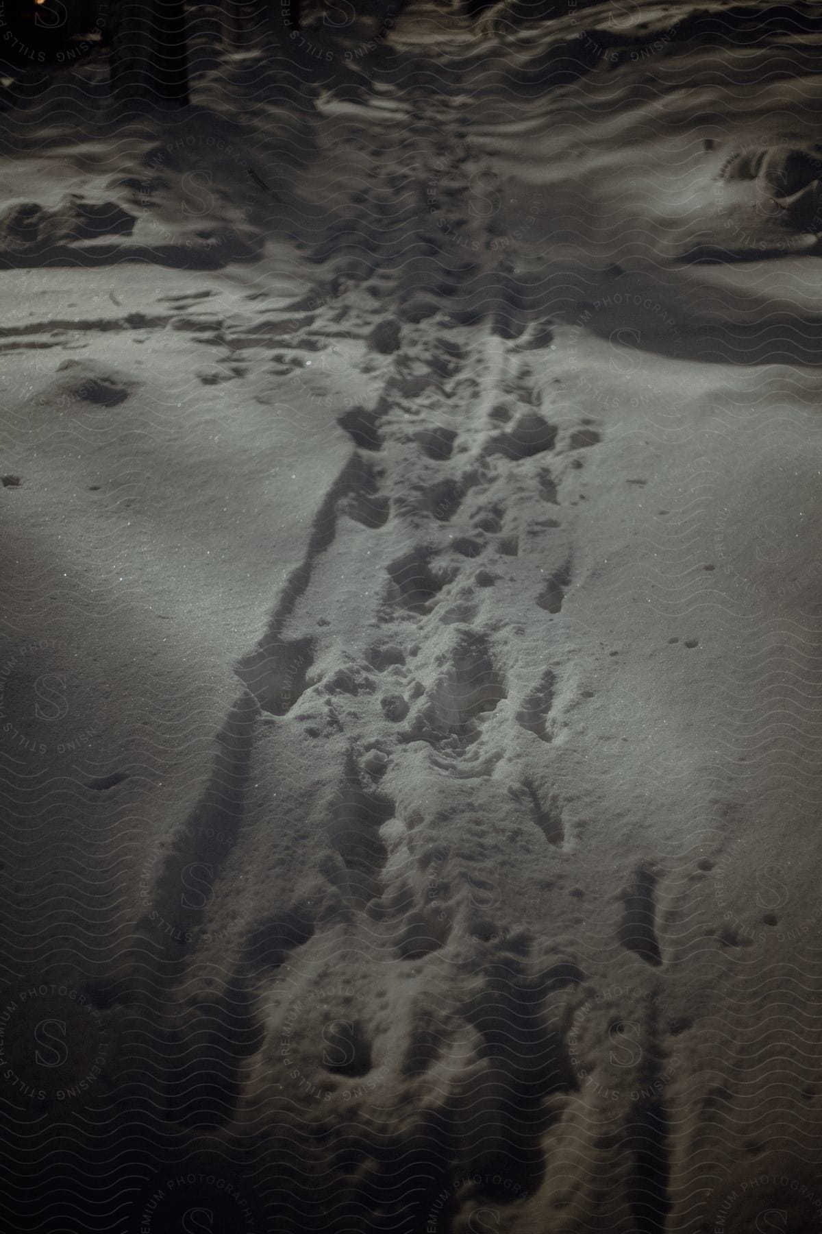 snow in the path with foot path leading straight