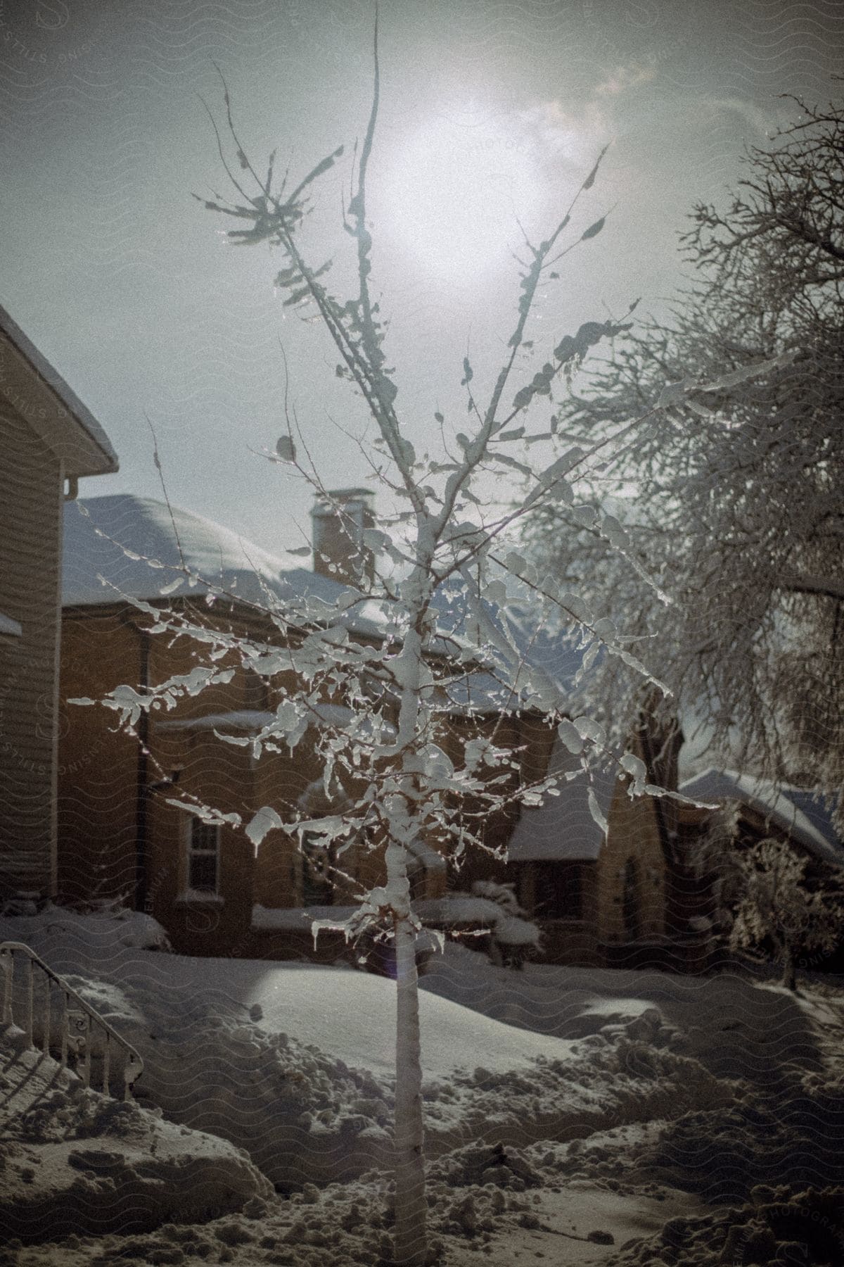 View of residential houses with bare trees covered in snow during winter.