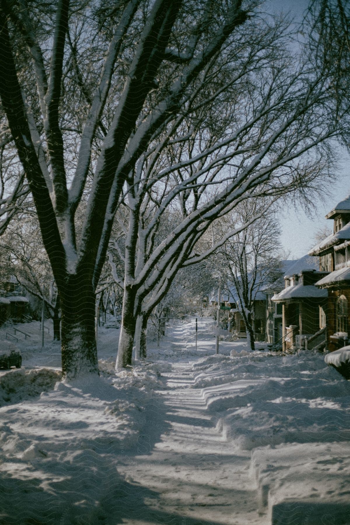 Suburban street blanketed in snow, houses lined up under snowy trees.