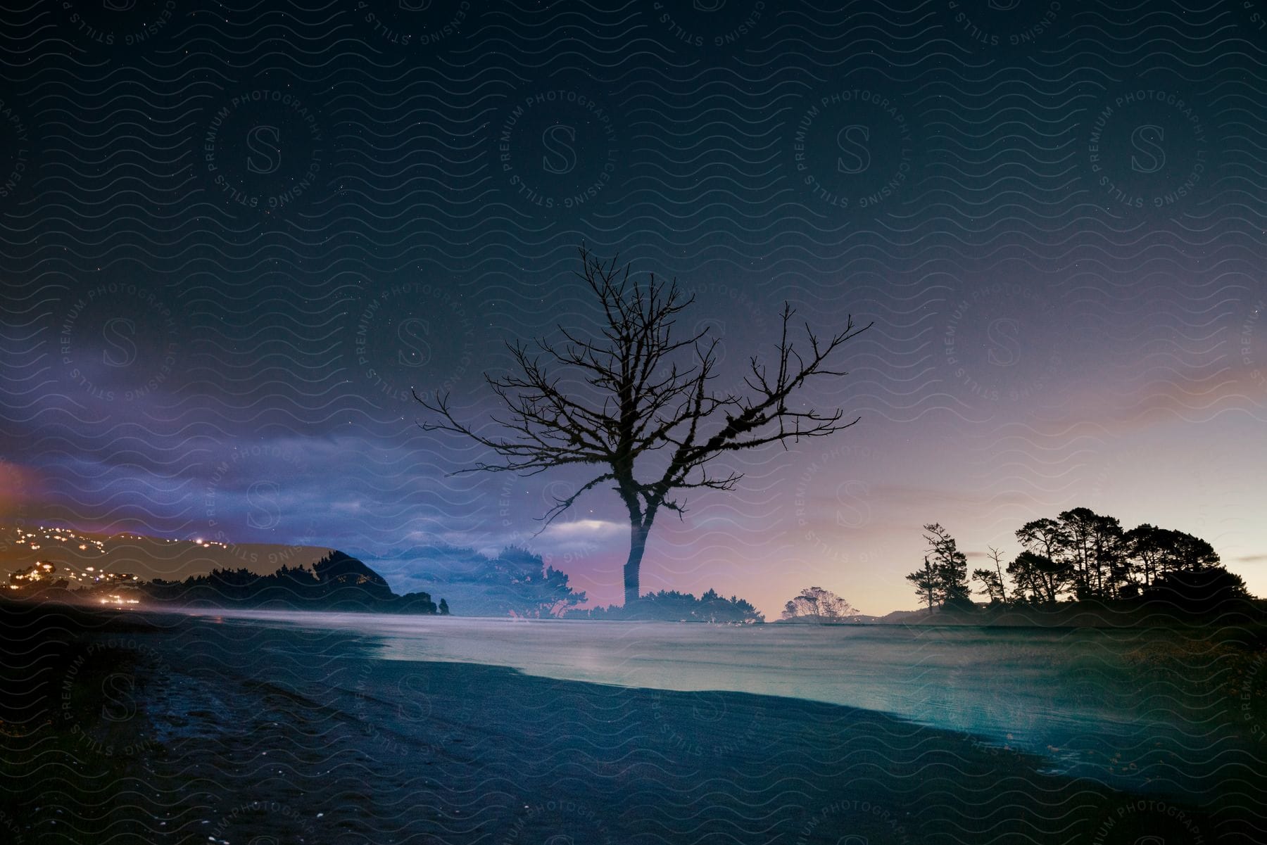 A view of a tree with some mountains in the distance behind it.