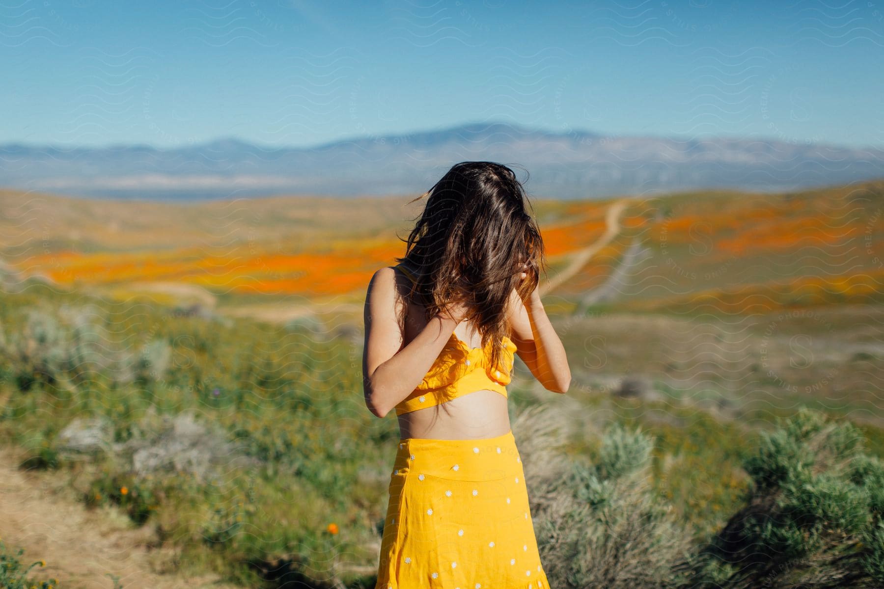 A young girl in a meadow on a sunny summer day.