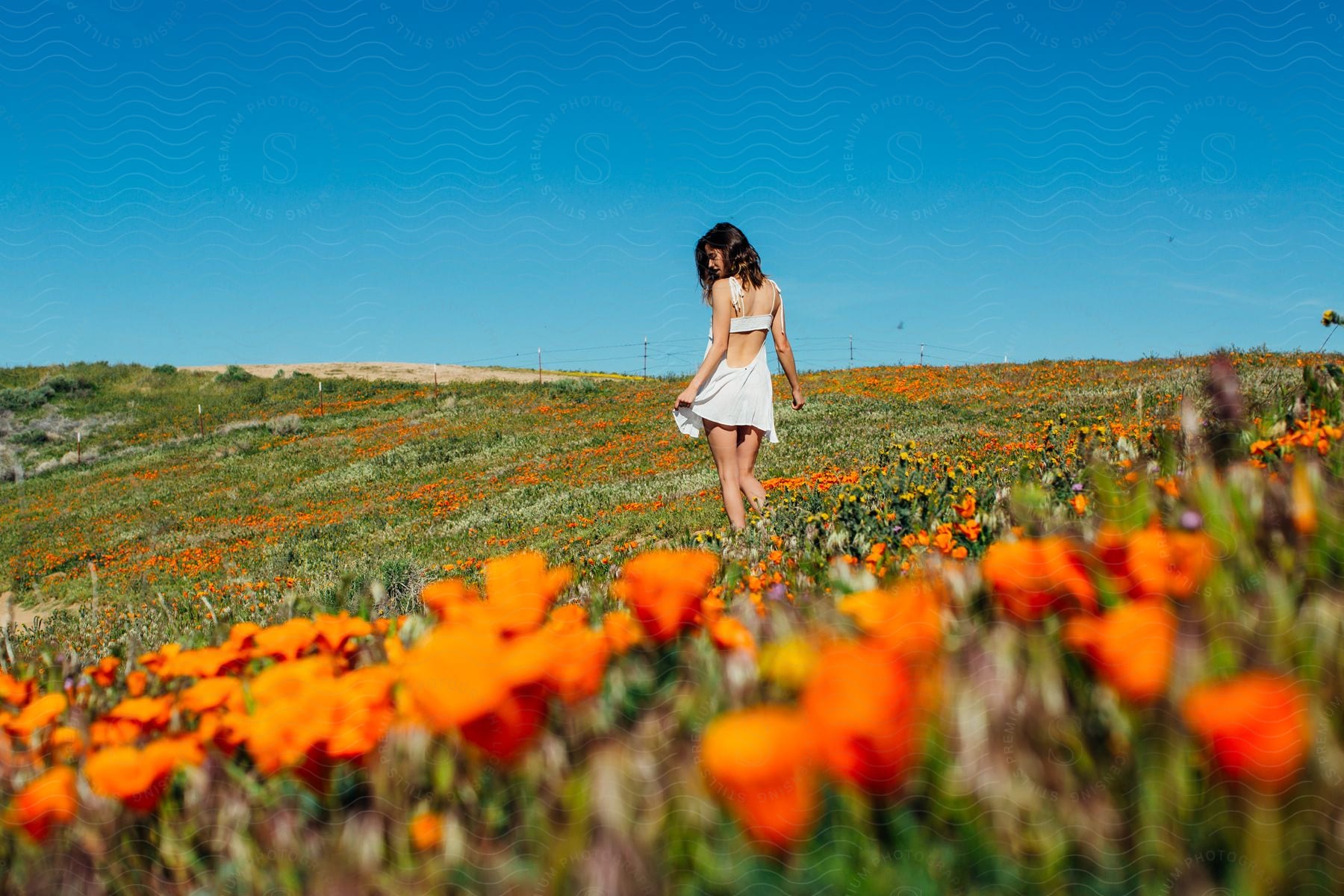 Teenage girl wearing a white summer dress walks in a field of flowers