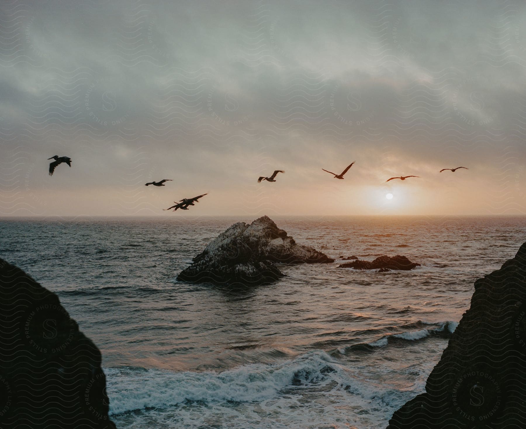 birds flying above the rocky ocean at dawn