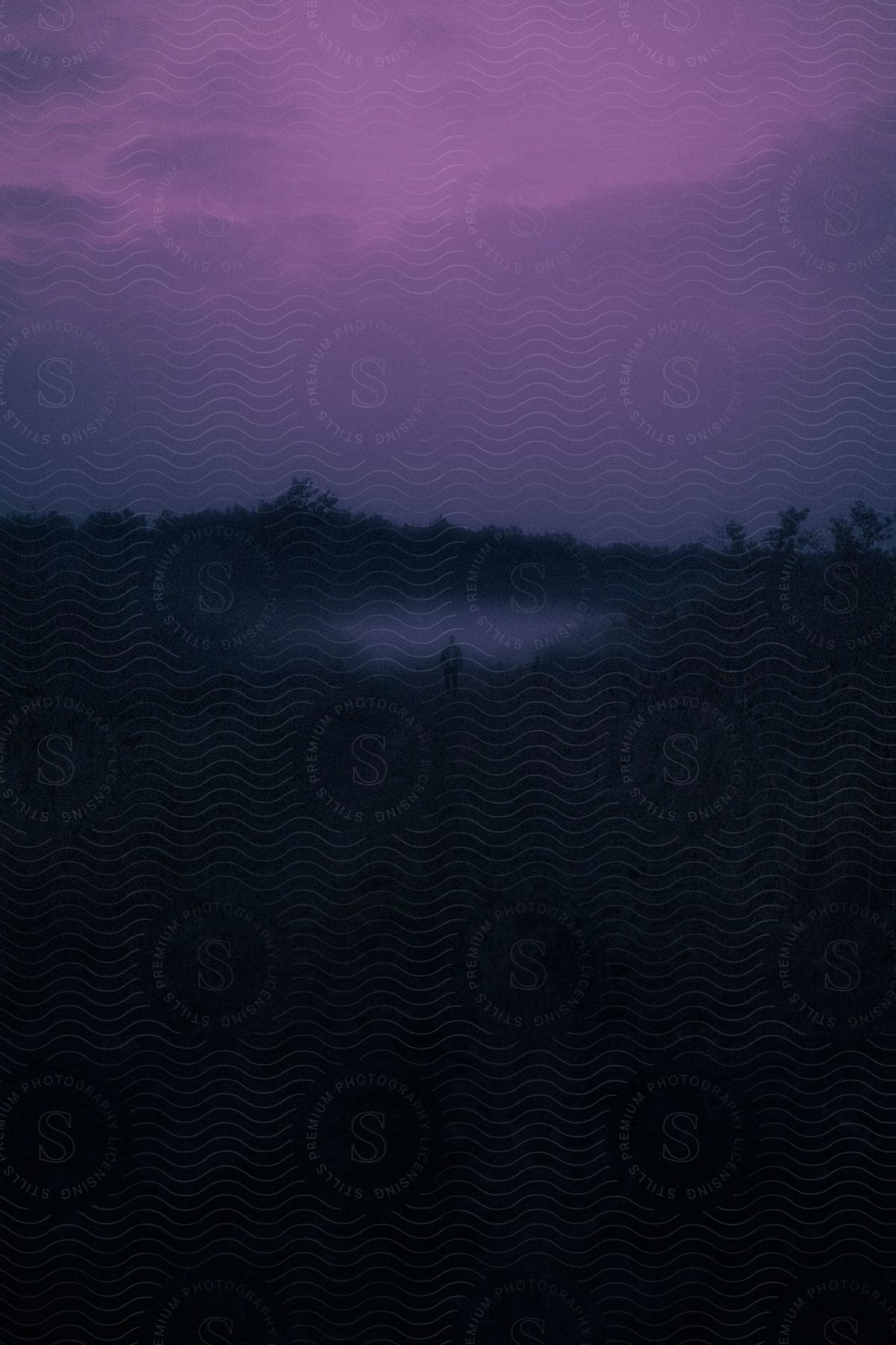 The figure of a man walking in a purple haze through nature
