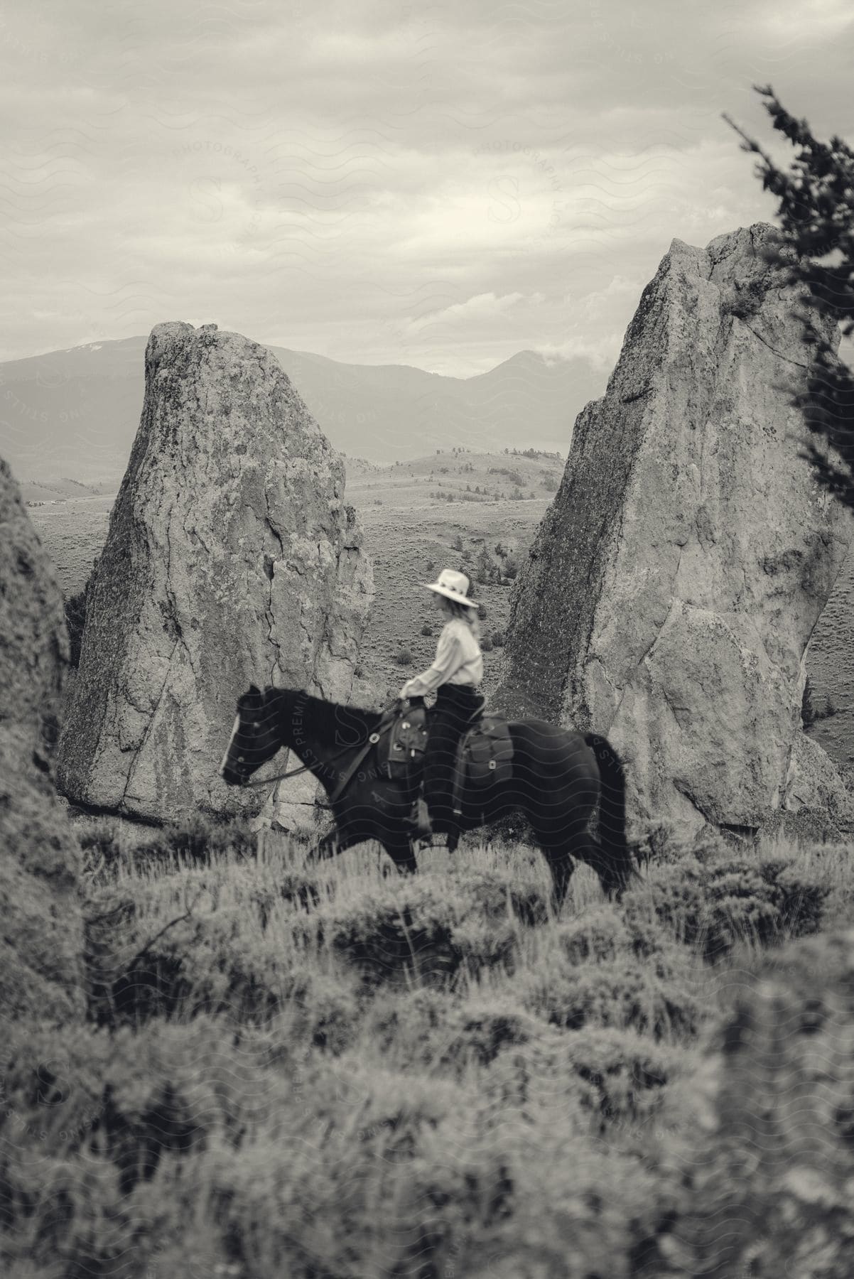 A women is riding a horse in the mountains.