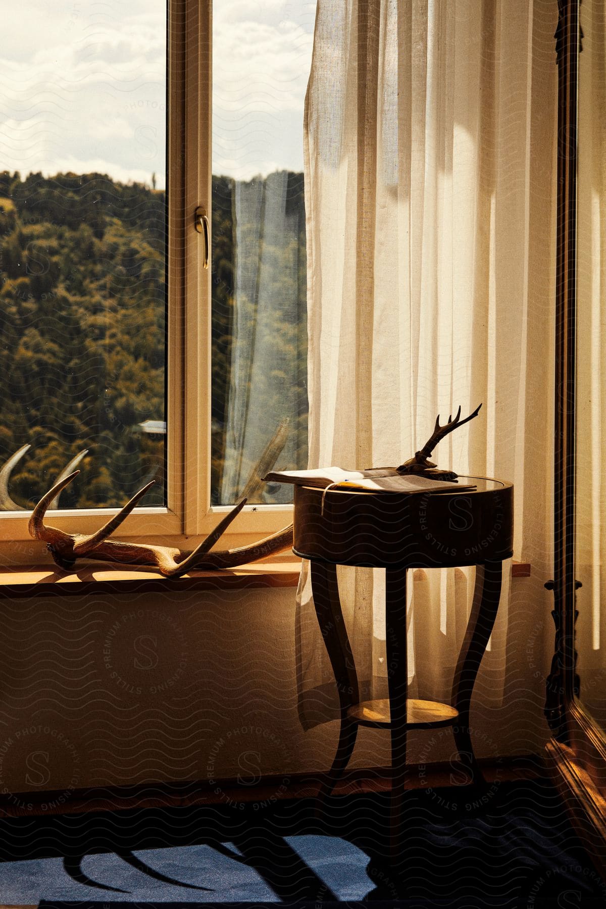 A large antler is sitting by the windowsill.