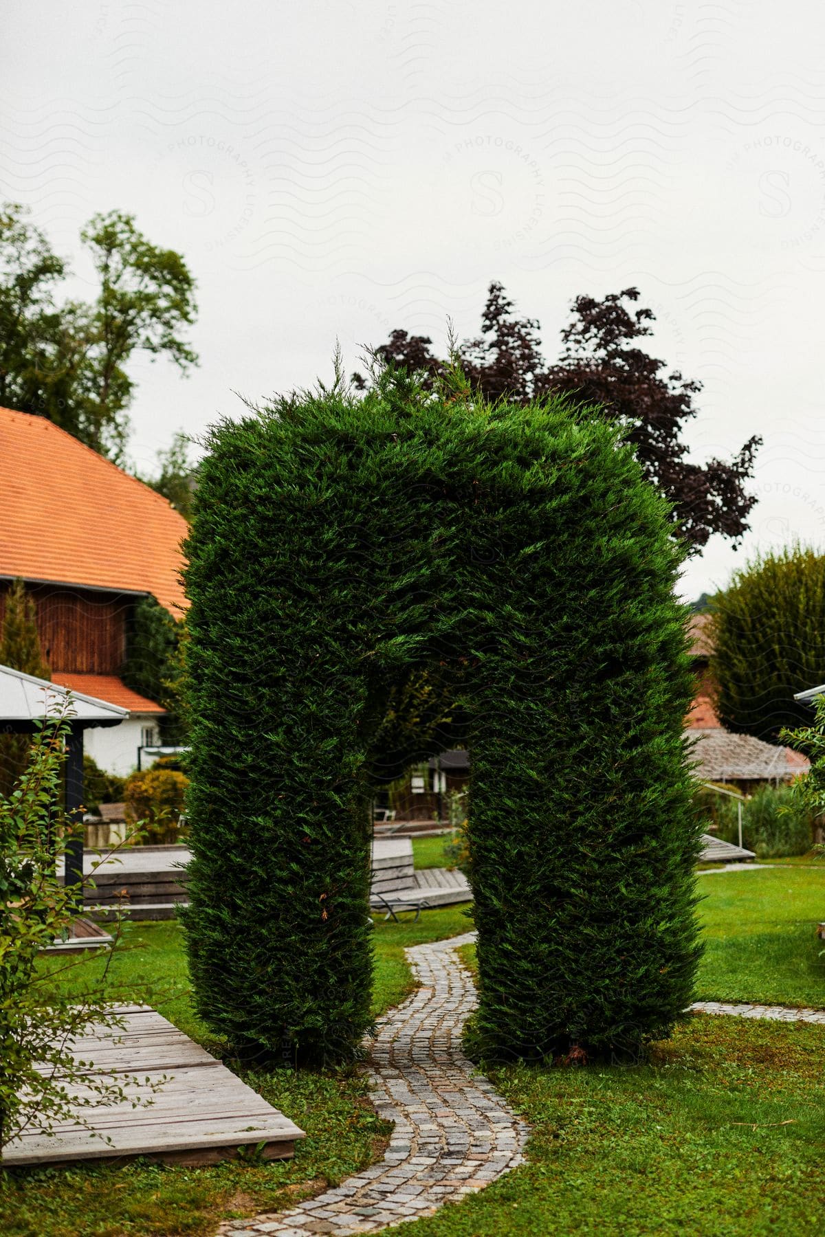 Bush on a small pathway on a cloudy day.