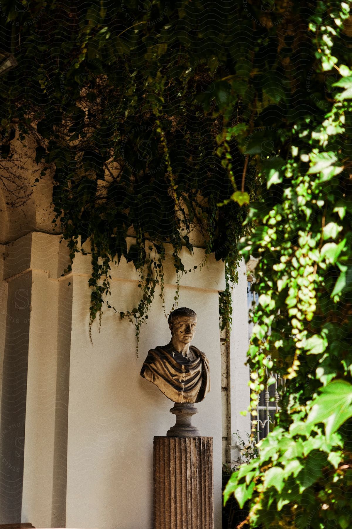 a sculptor like a roman emperor is close to a wall being covered by plant