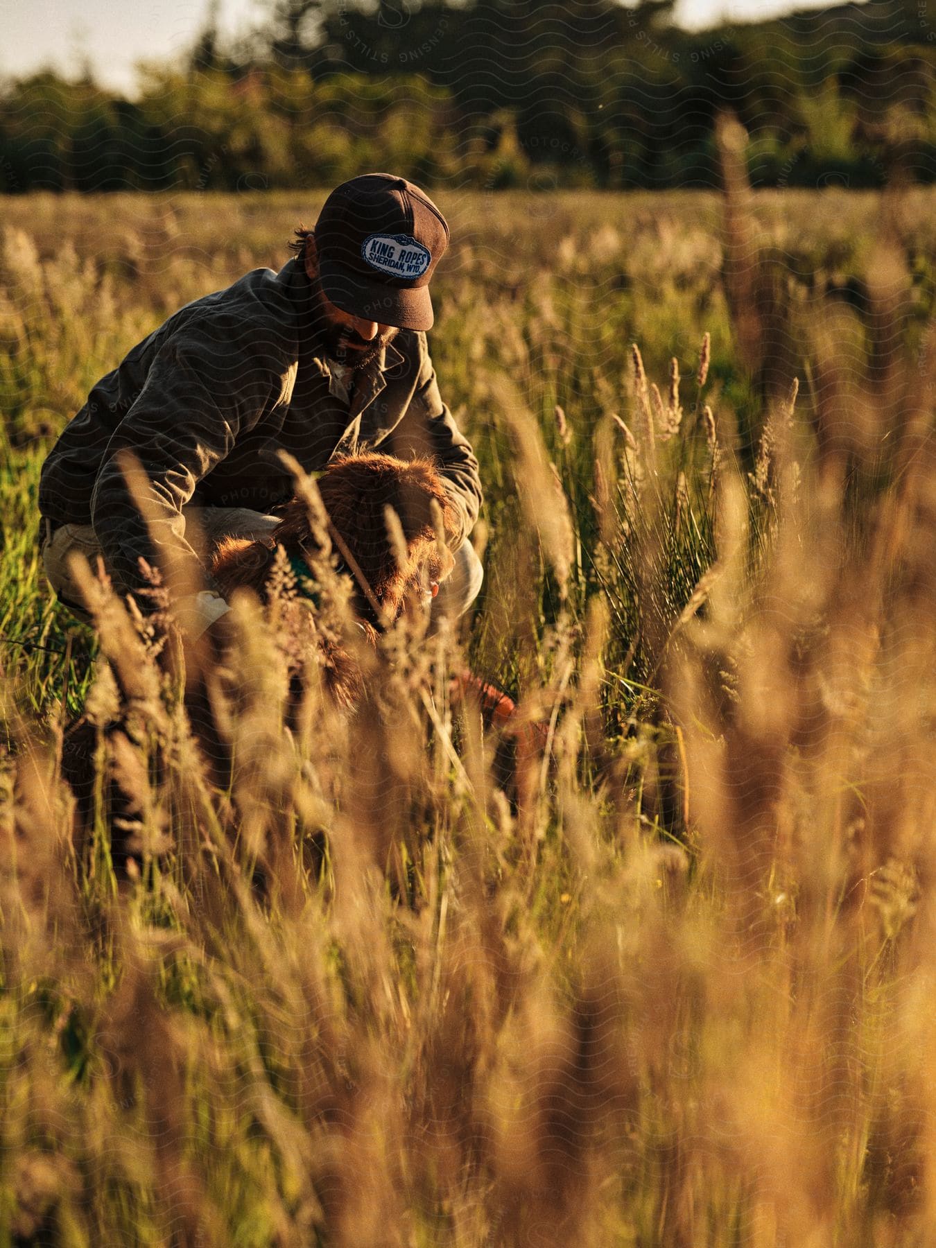 Man is bending down in a rural farm field