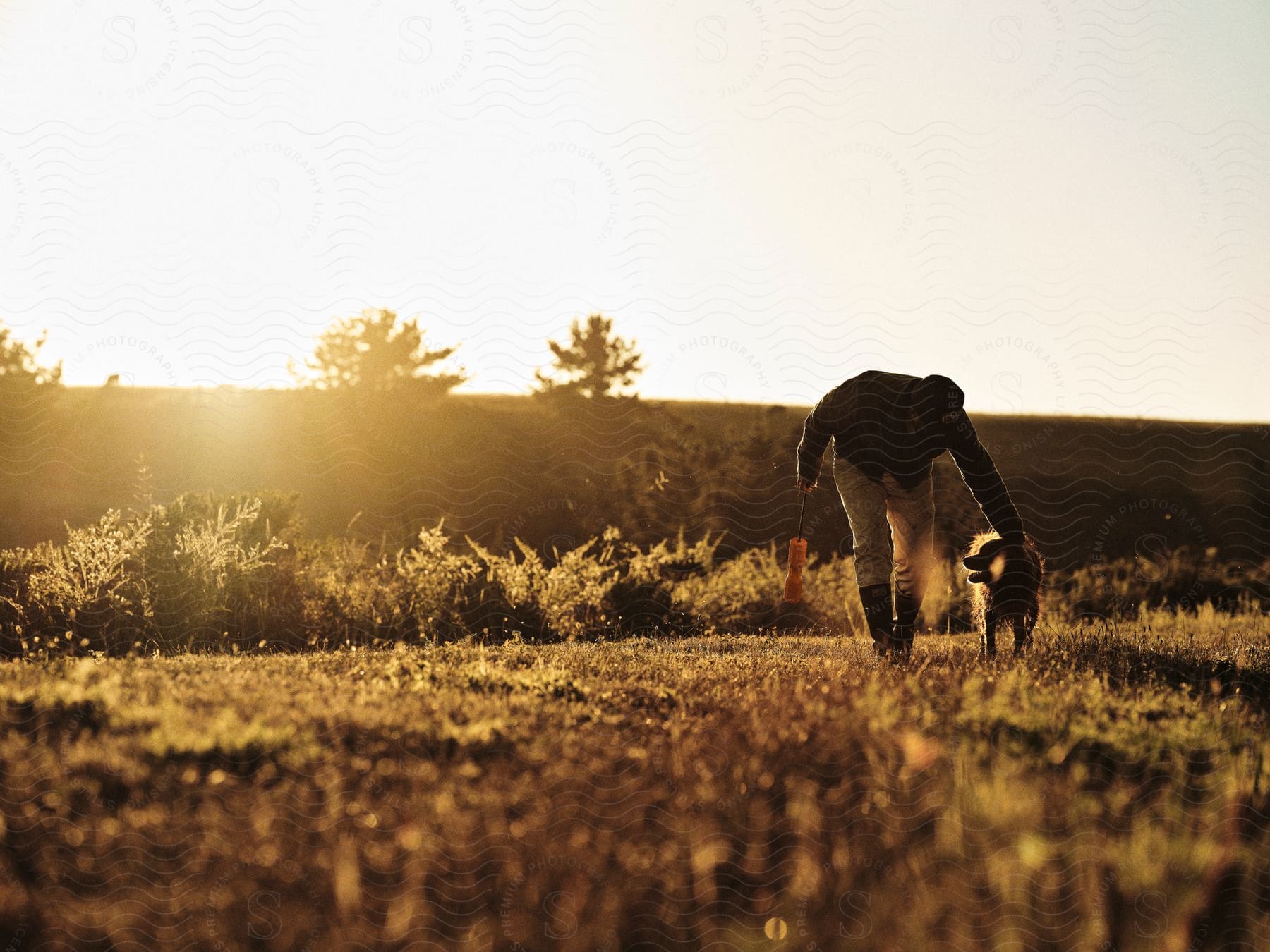 Man bending forward playing with a dog in a field during sunset.