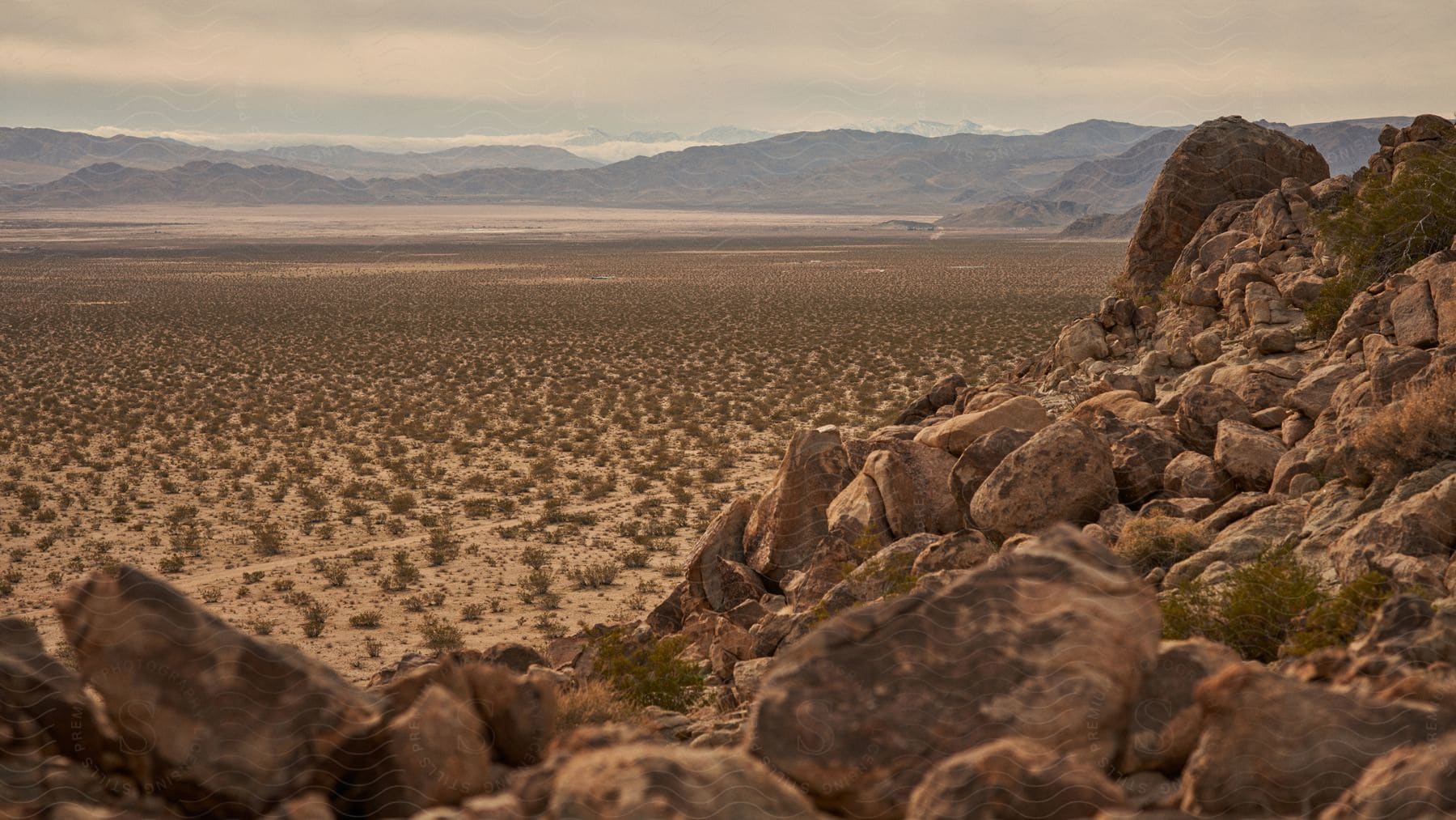 A desert with tall mountains in the horizon.