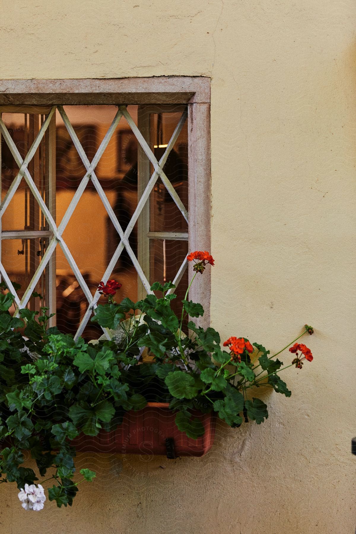 A plant box with flowers hanging from a grated window.