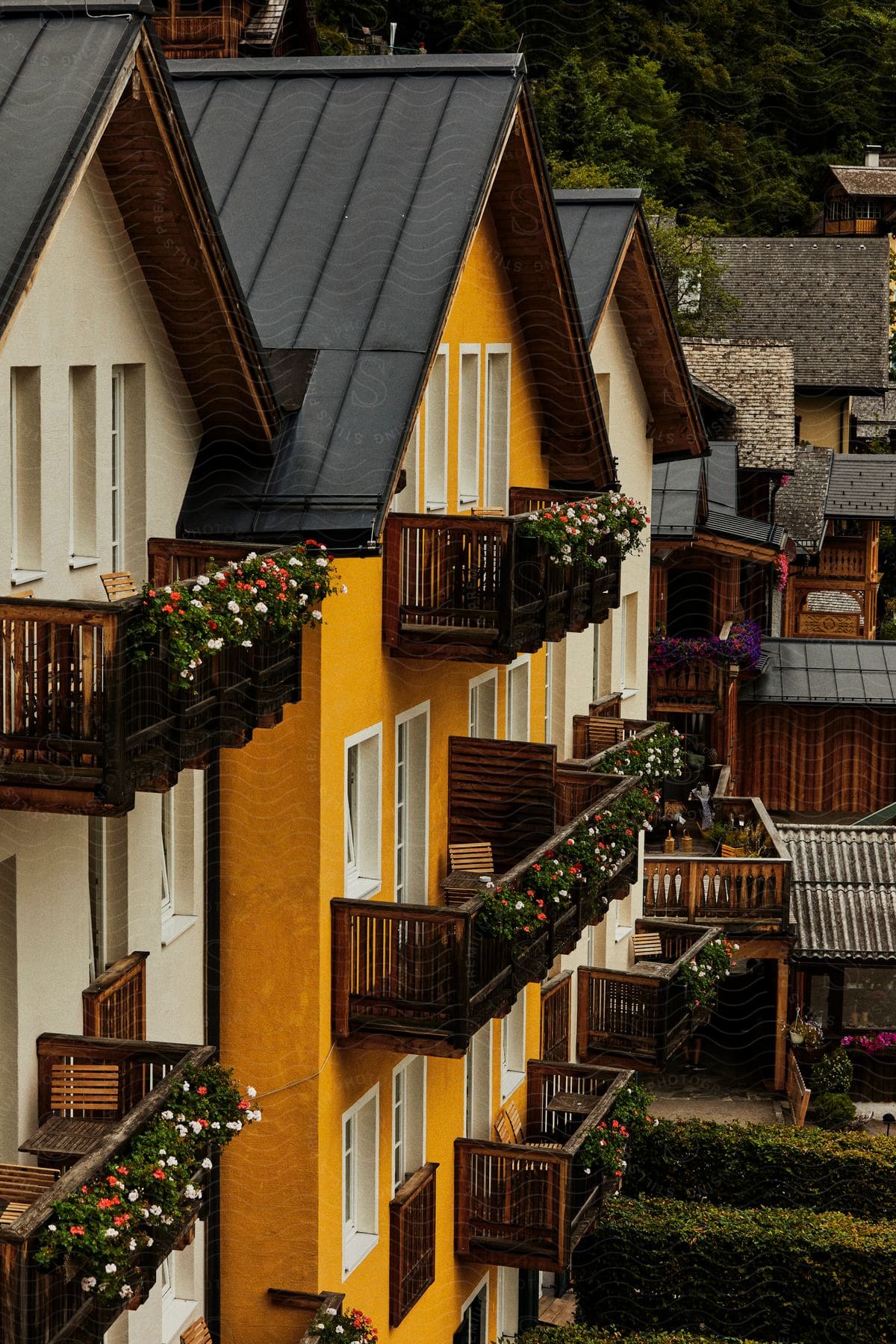 series of nearby buildings with flowers on their balcony