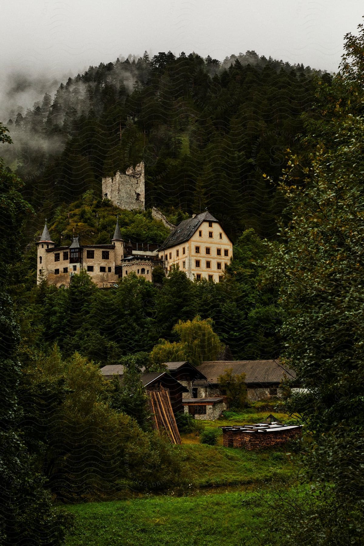 A mansion in a forest covering a mountain.