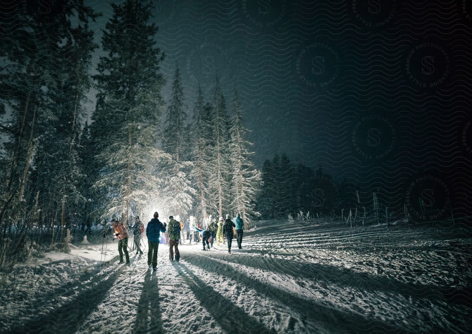 Group of people hiking in a snow-covered forest at night.