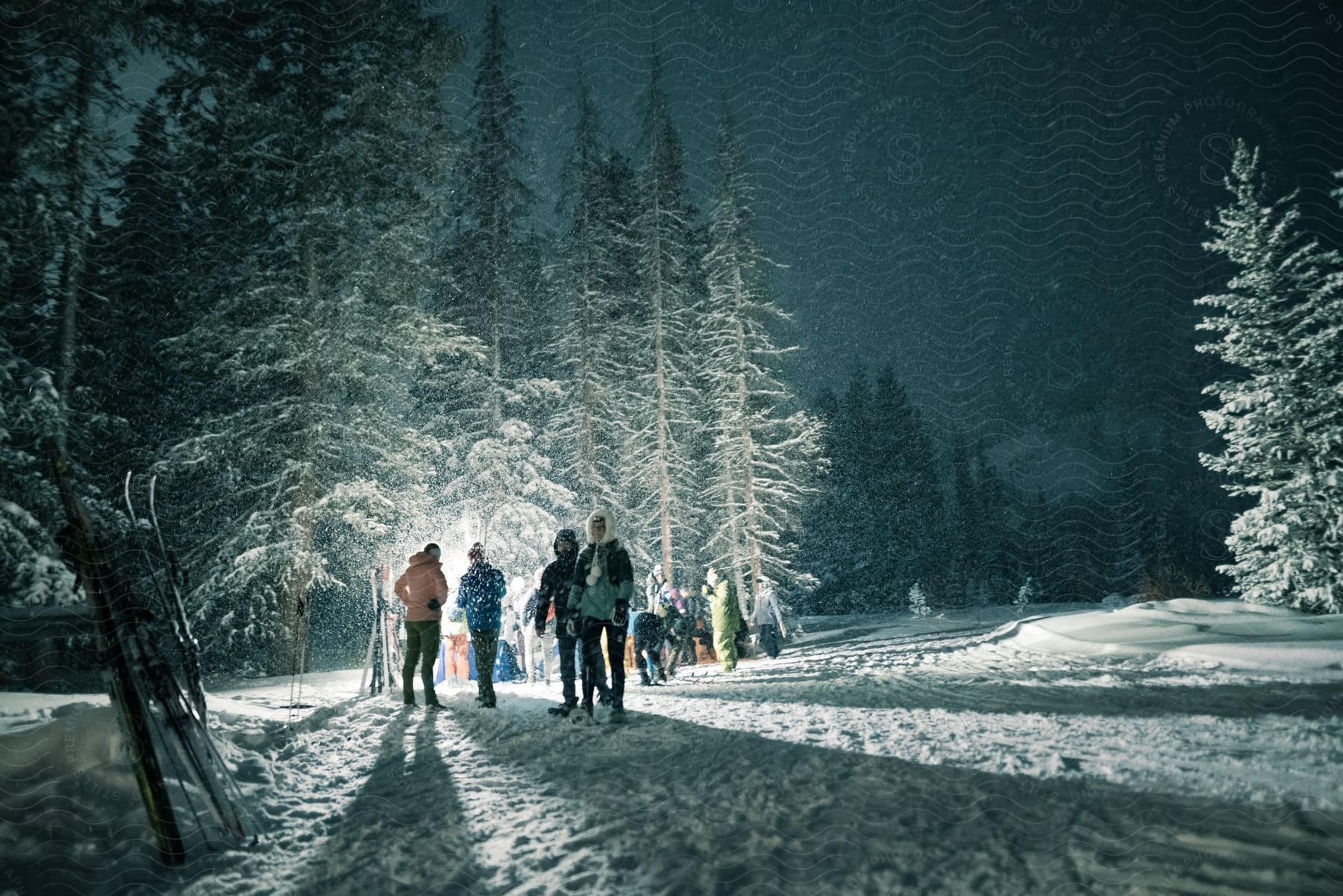 A group of people in a snowy forest at night, with back lighting.