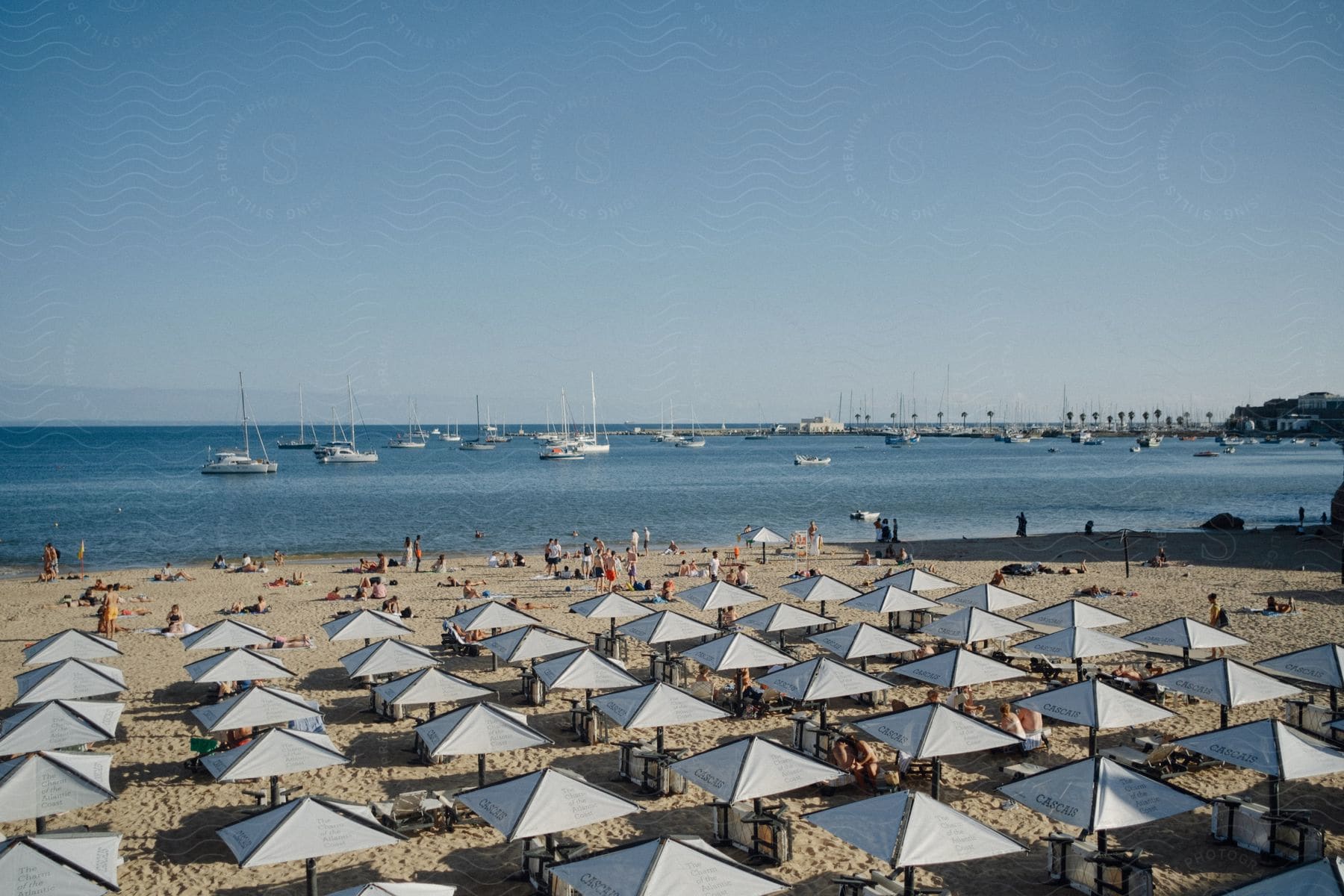 A beach where the sand is full of white checkered umbrellas and in the water there are many boats