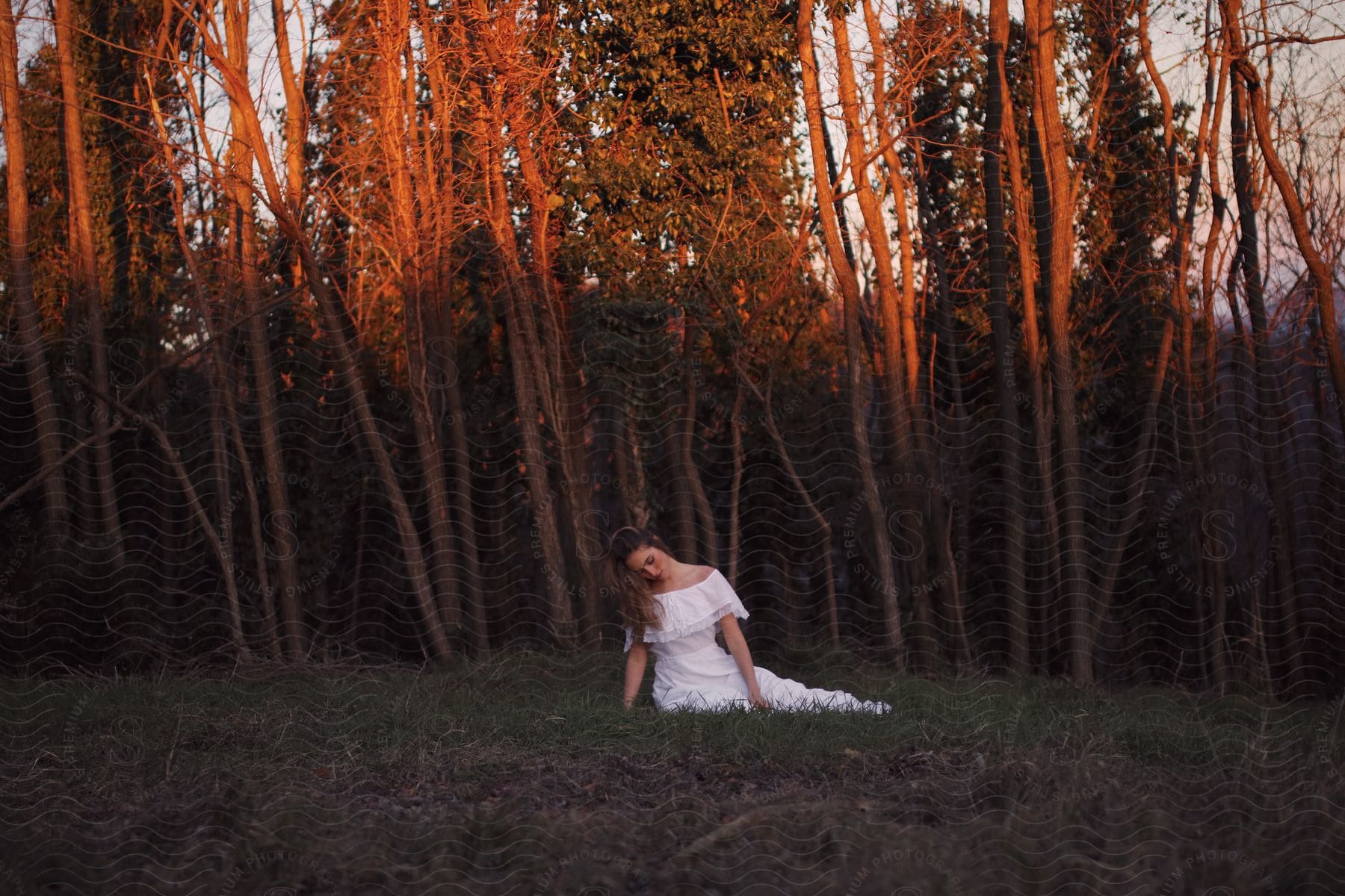 A woman in a white dress is lying on a lawn and behind them there are many trees with thin trunks and no leaves.