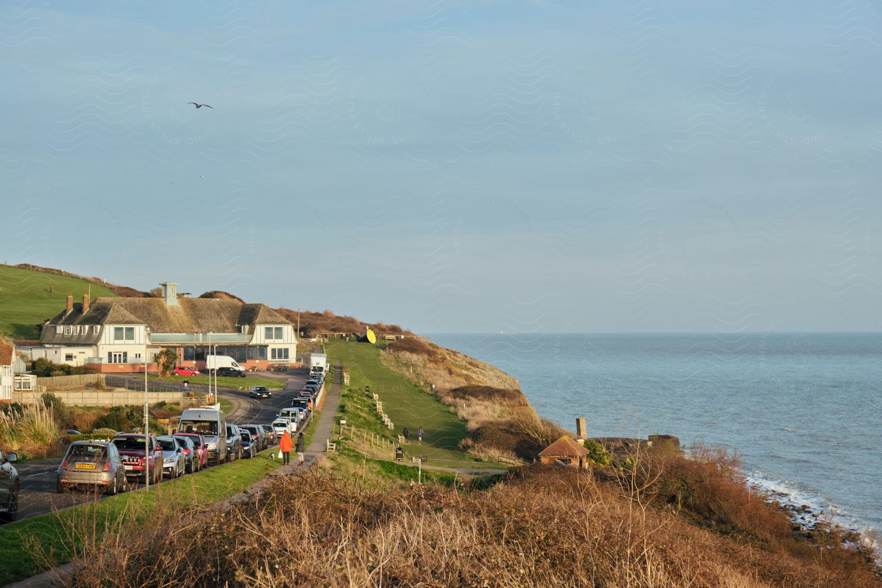 Buildings on a road along the coast with two people on the sidewalk as traffic moves and a seagull flies overhead