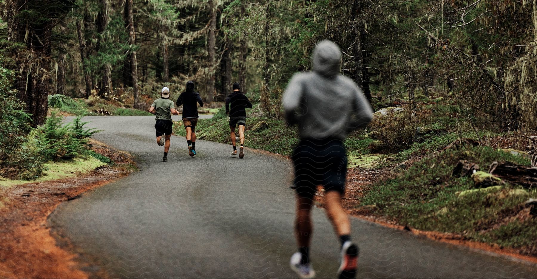 Four male joggers running on an asphalt path in the woods, with one lagging behind the other three.