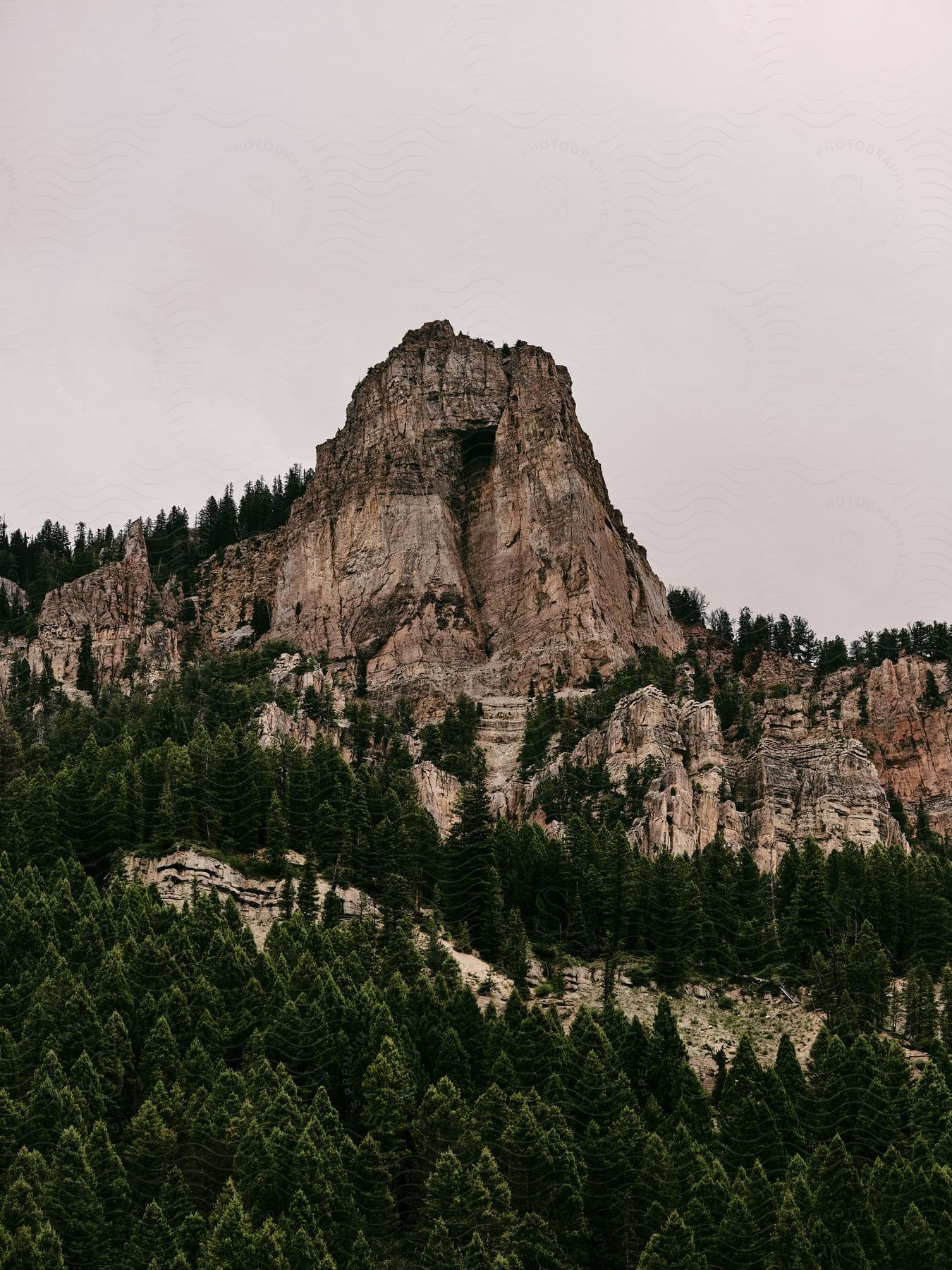 A rugged mountain with trees on its slopes, set against a cloudy sky, with a prominent jagged peak in the center and trees extending into the foreground.