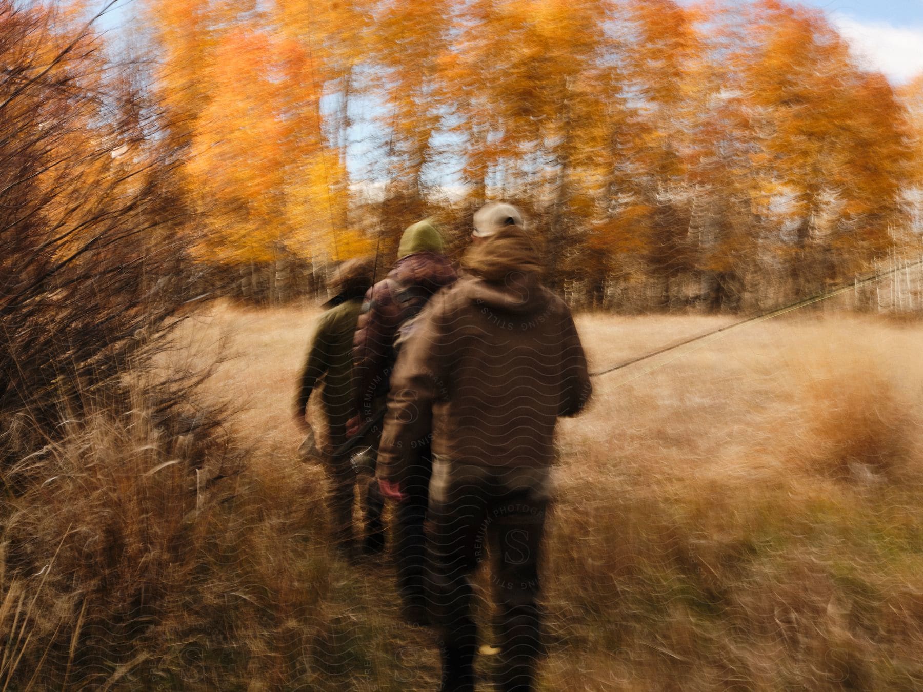 A view of a group of people walking outdoors in a forest area.