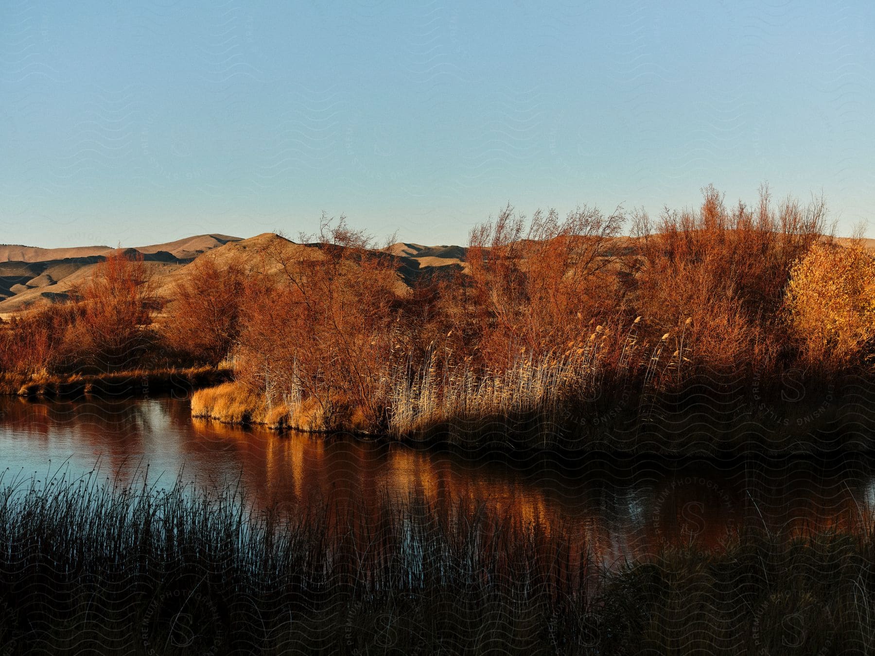 River water reflects trees with fall foliage in hilly terrain.