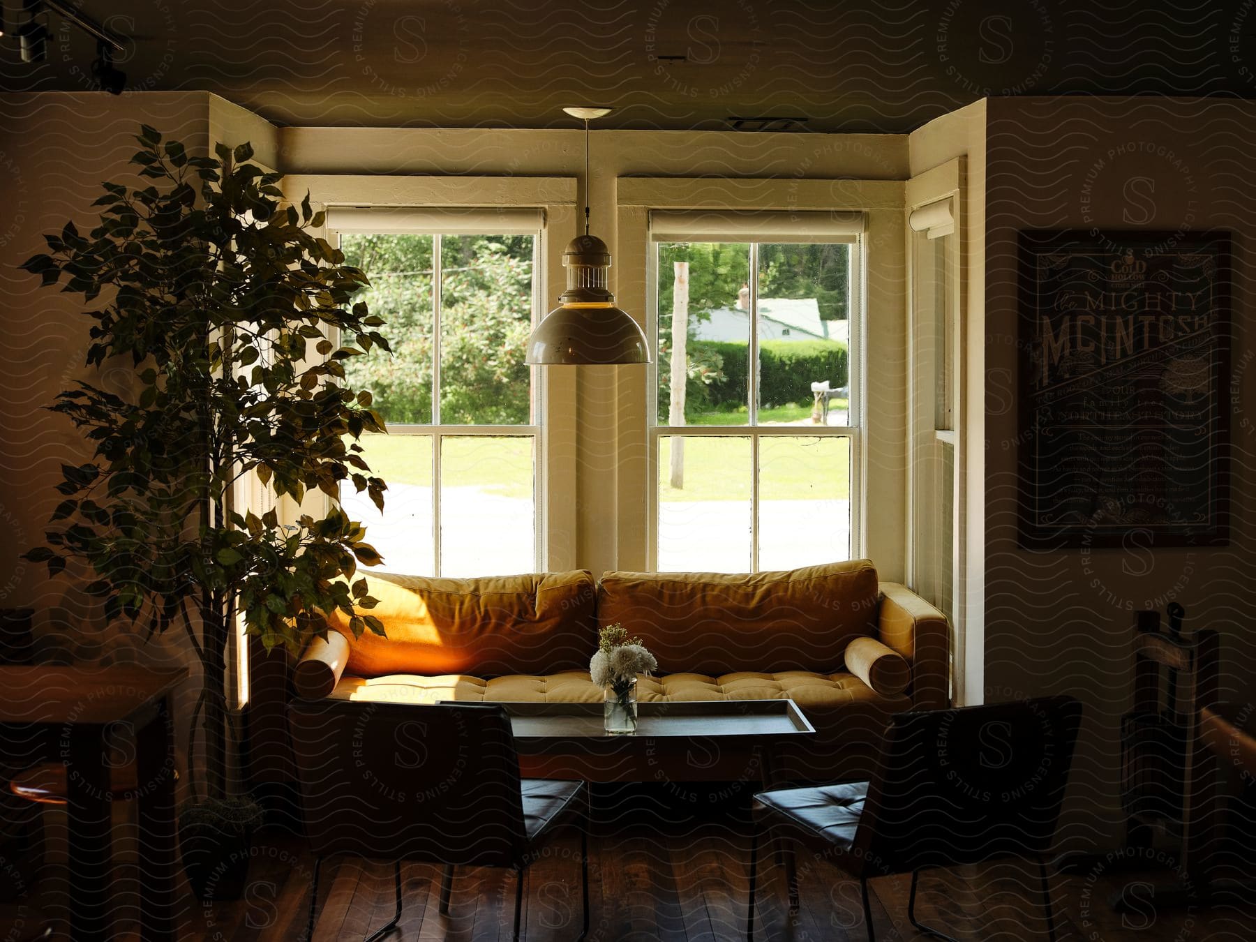 Sunny living room with orange couch, potted tree, and yellow flowers, all facing a window with a backyard view.