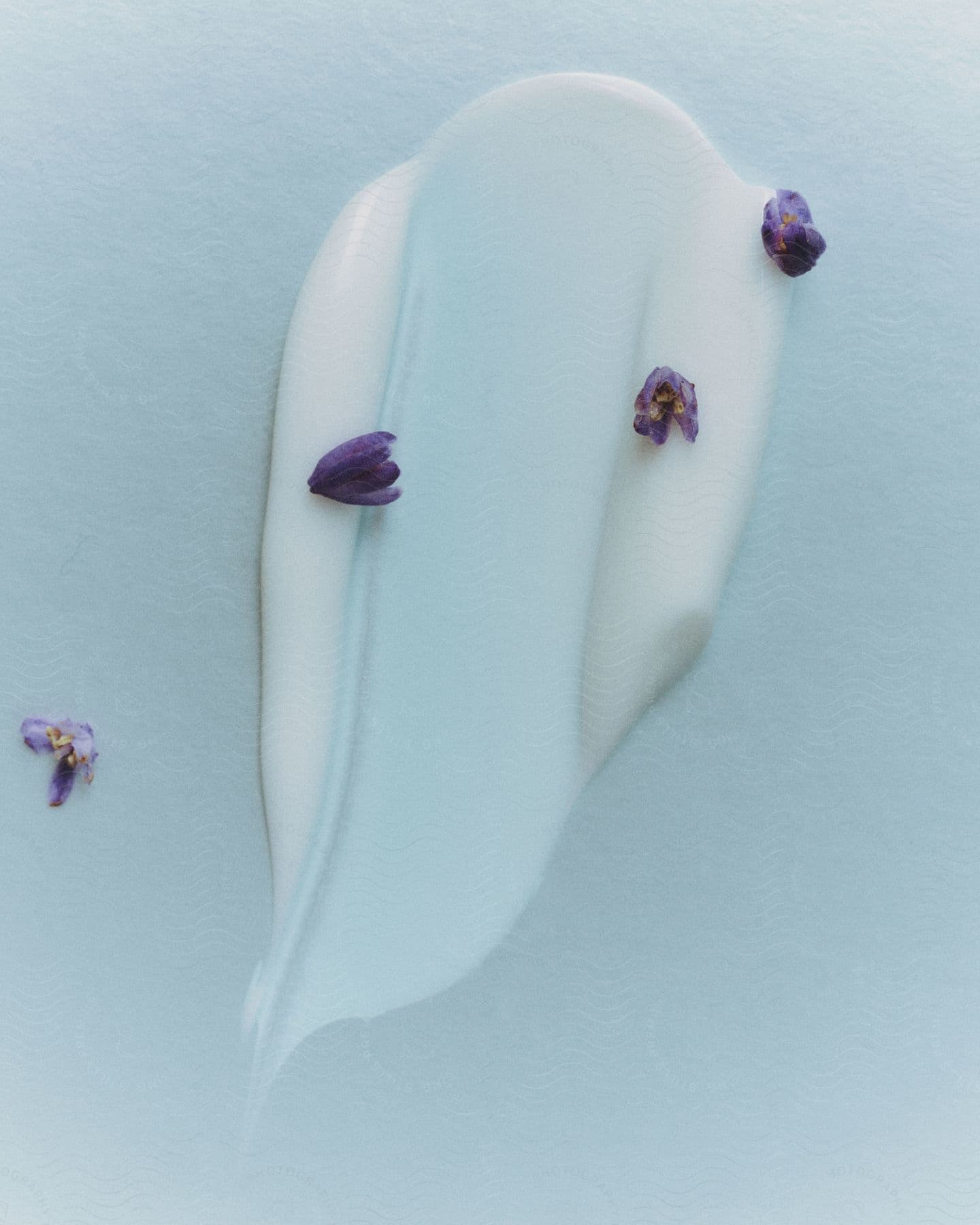 Small lavender flowers sit on white cream spread across a light blue surface