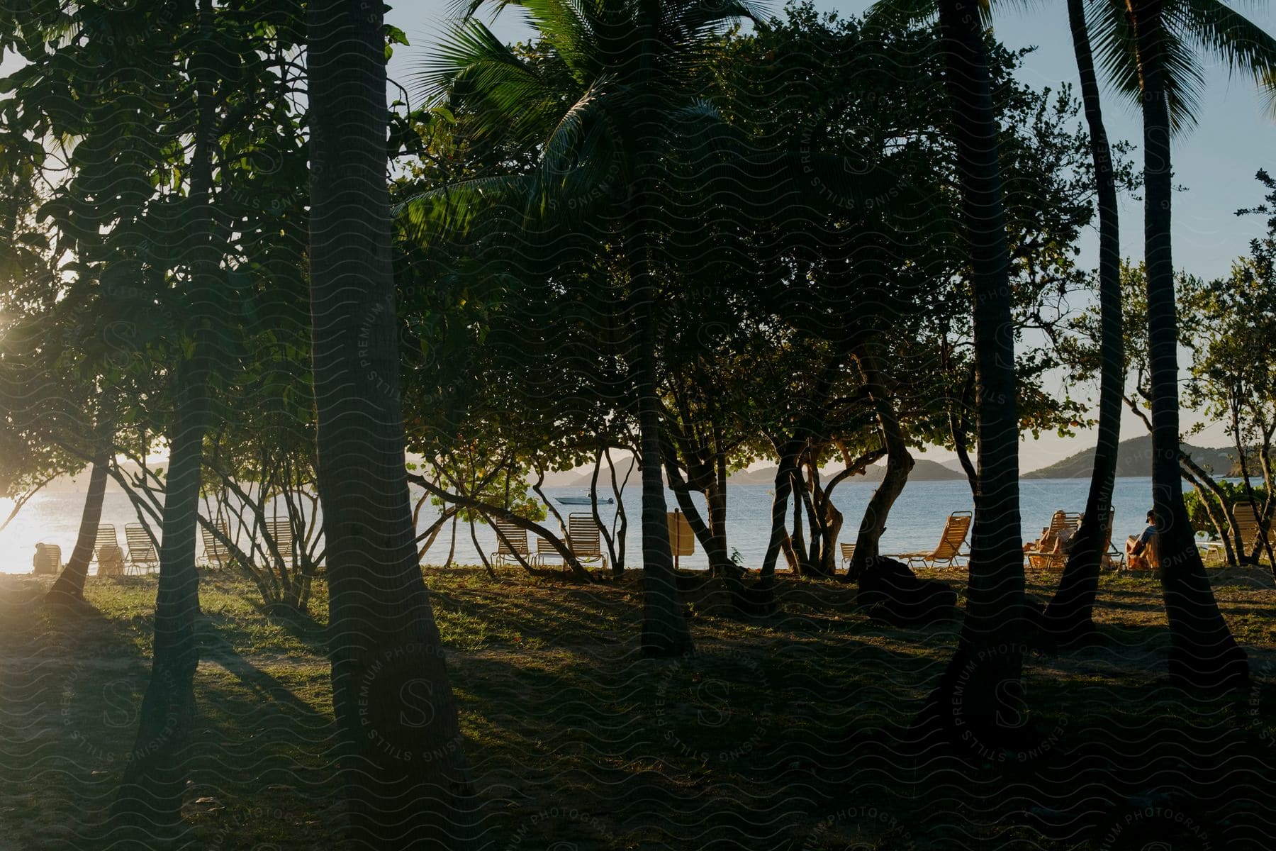Natural landscape of a tropical forest with access to chairs in front of a beach