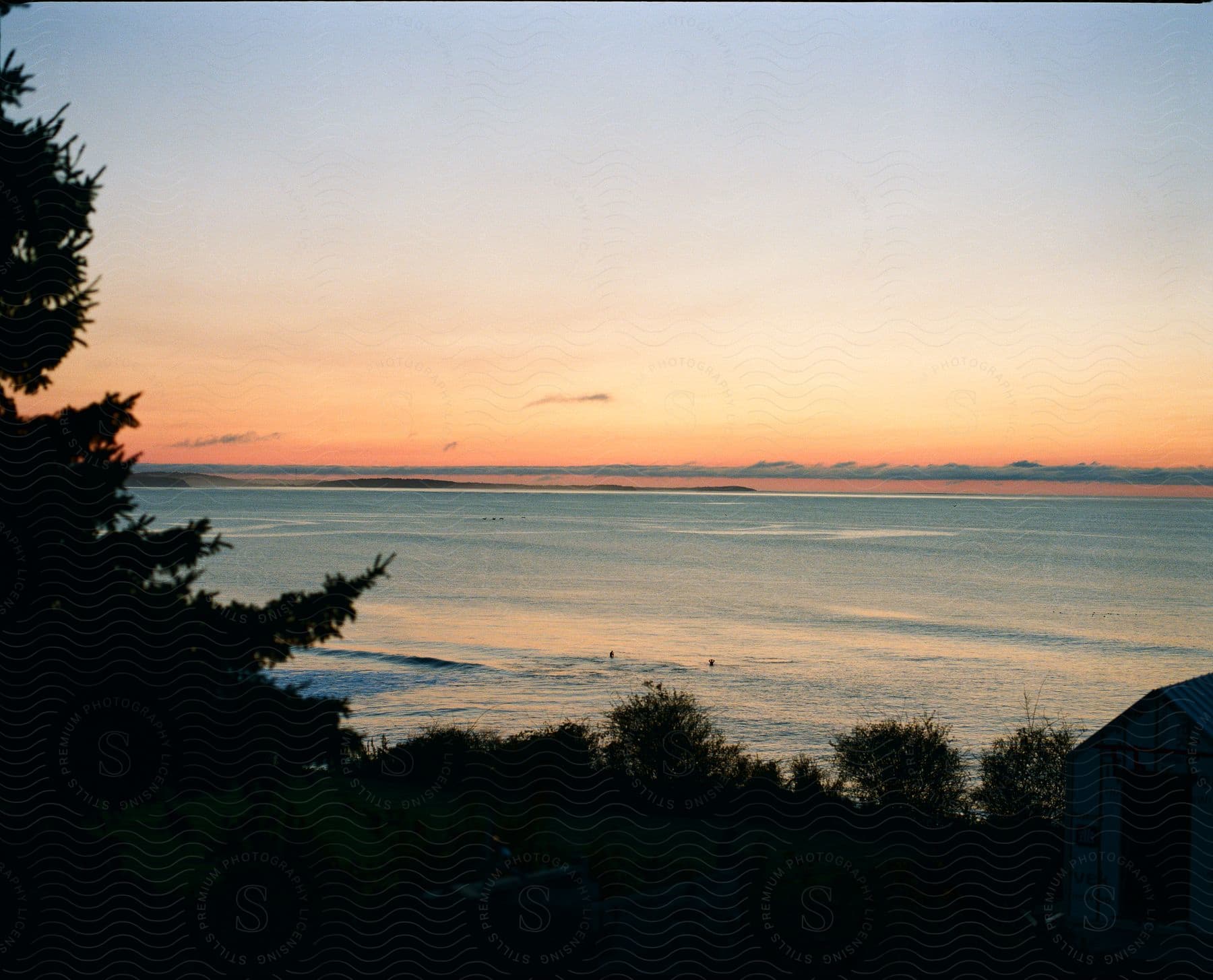 Trees silhouetted against red tinted  horizon tower over building on shore.