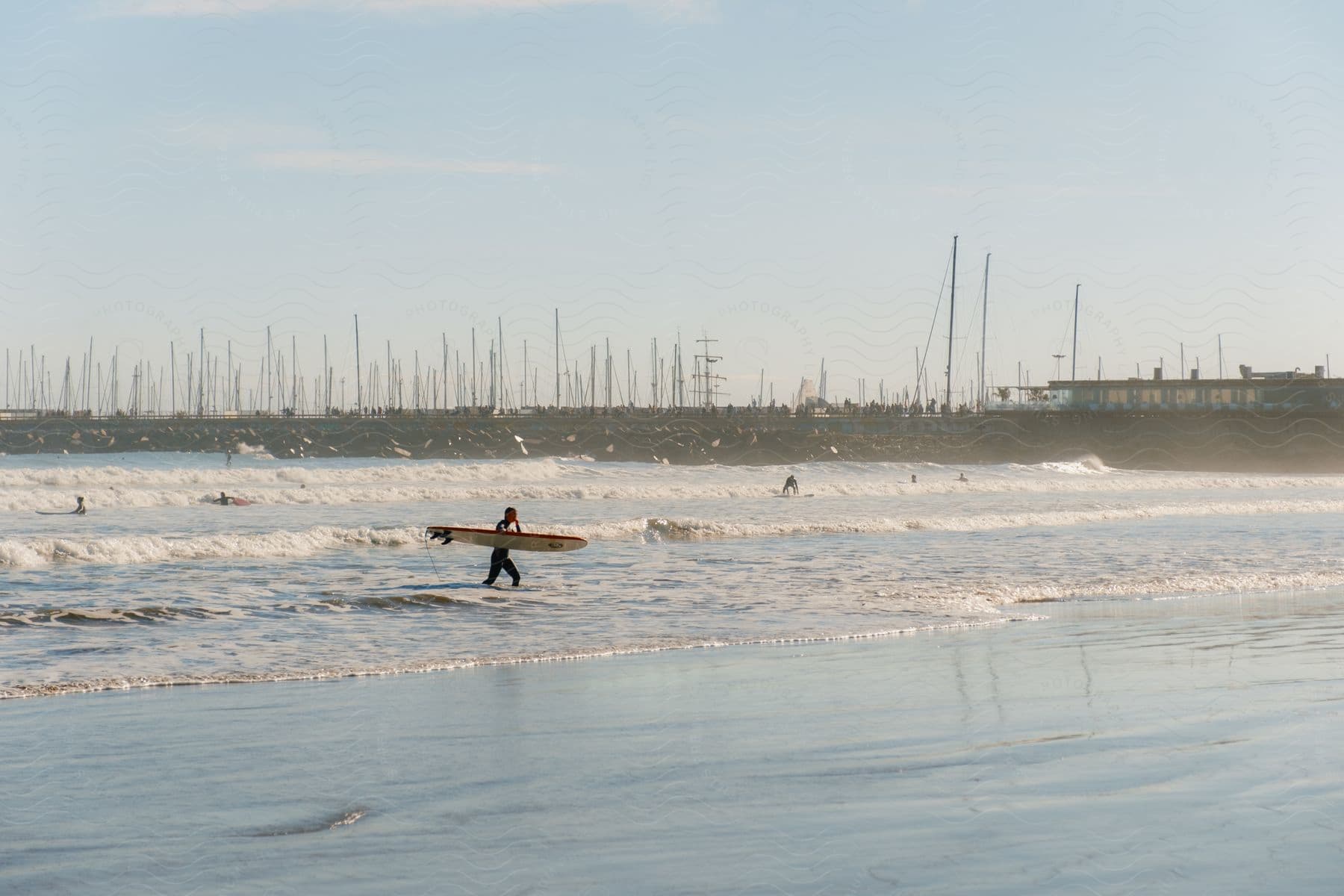 Surfer carrying board along shoreline with marina full of sailboats in background, gentle waves and other surfers in water.