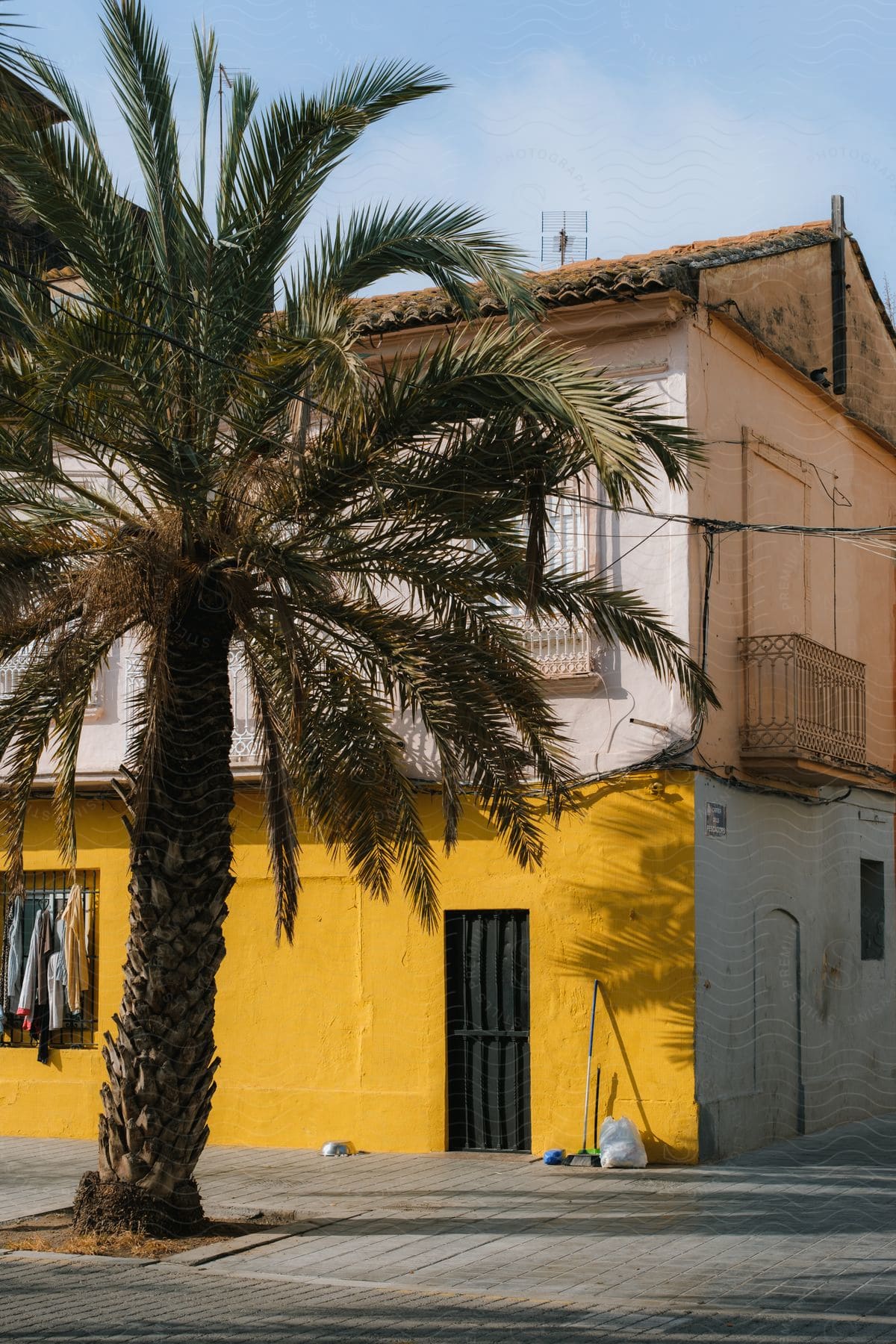 A palm tree grows outside of a corner building