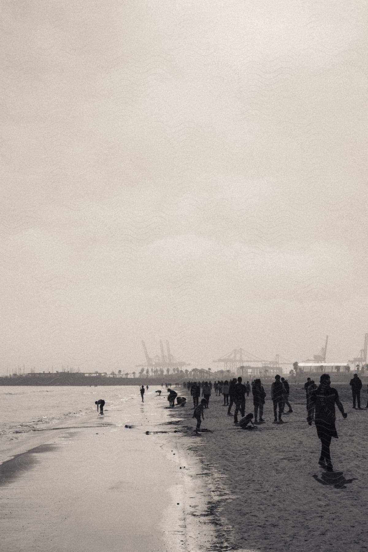 Silhouettes of people walking along the beach