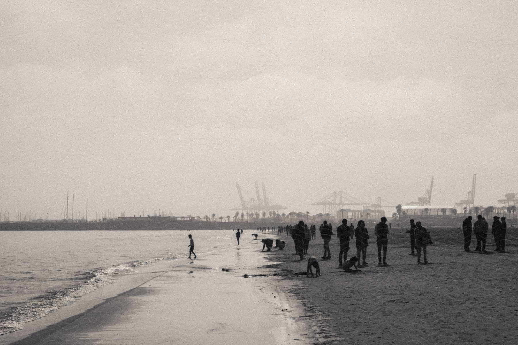 A lot of people out on a beach on a sunny day.